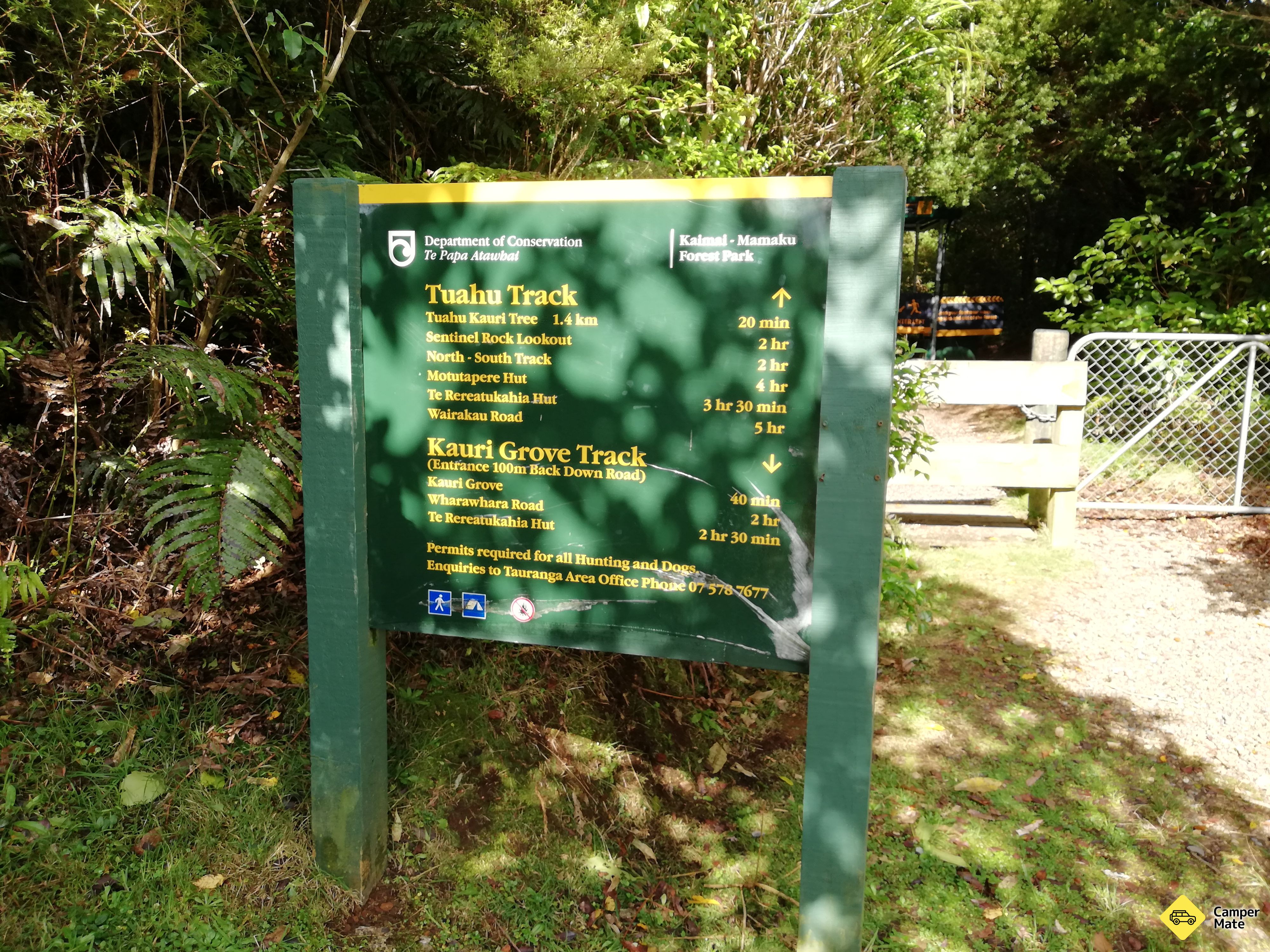 Tuahu Kauri Walking Tracks - Image 2