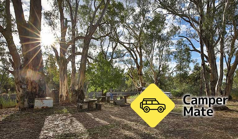 Woolpress Bend Campground - Image 2