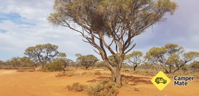 Área de repouso Maslin