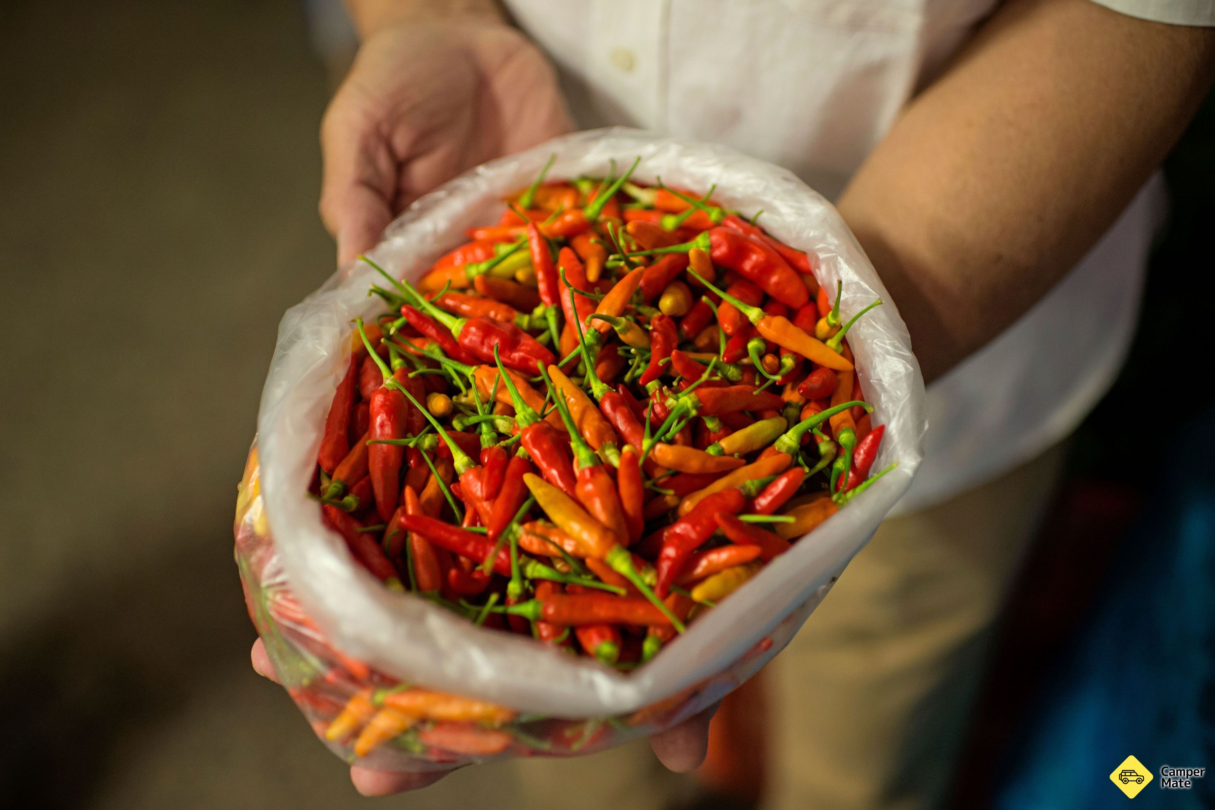 Rapid Creek Markets - Image 3