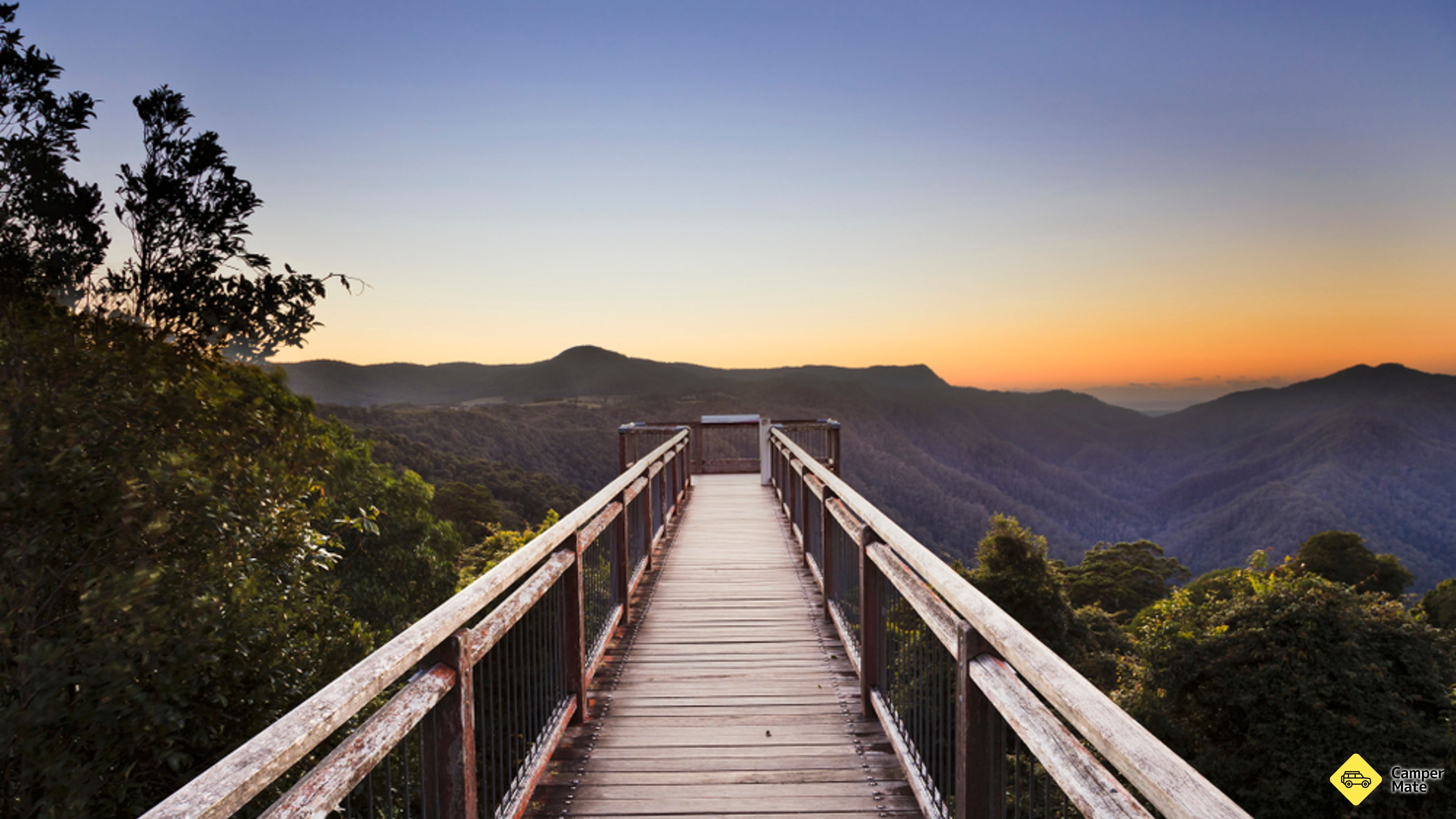 Dorrigo Skywalk