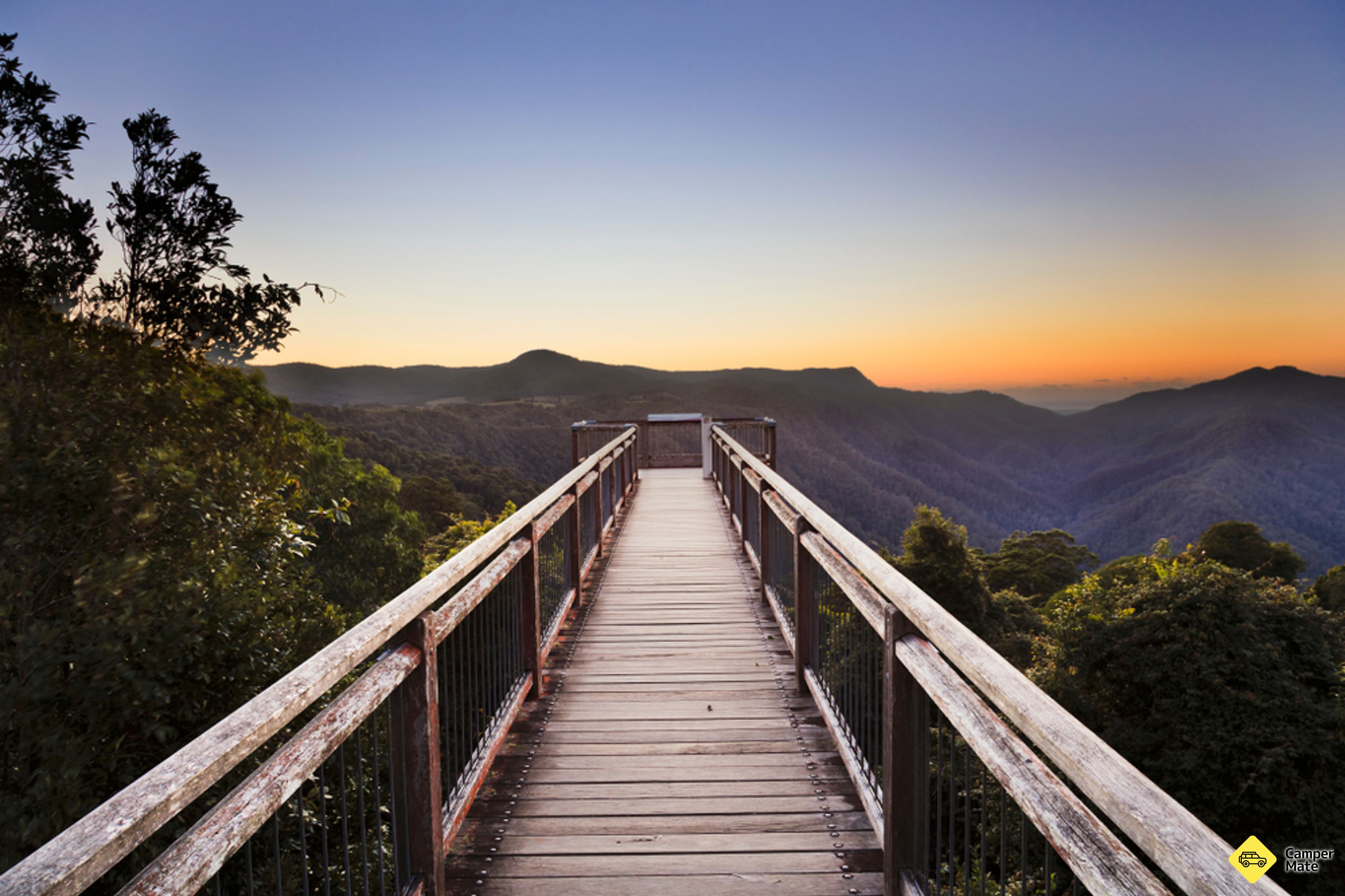 Dorrigo Skywalk