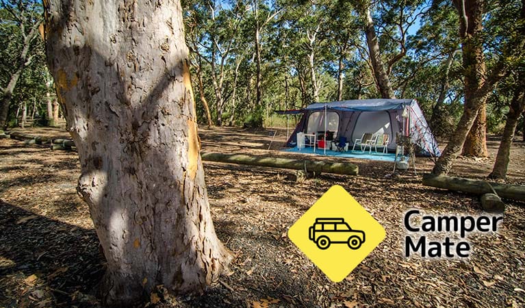 Boomers Καμπάνιες