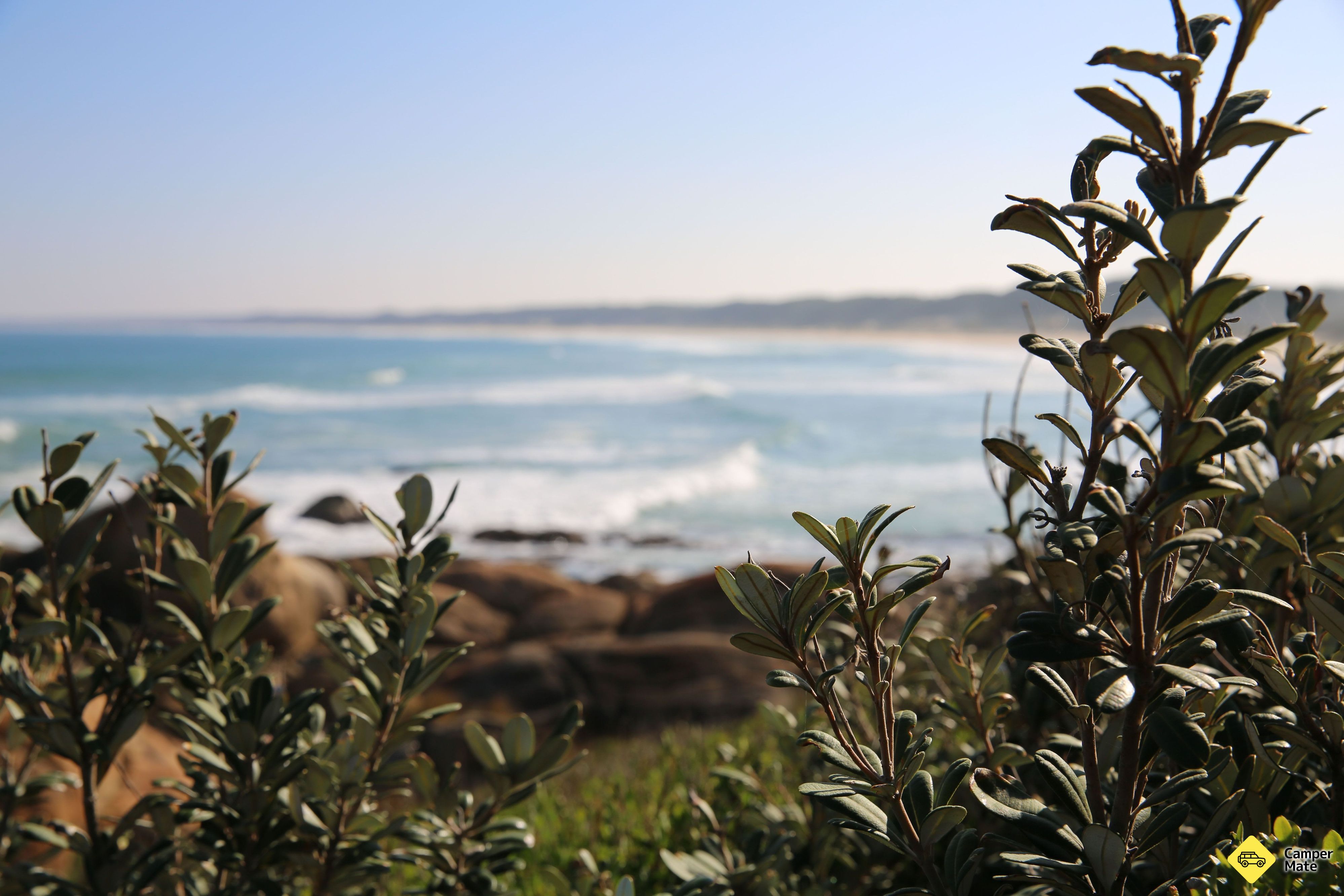 Cape Conran Coastal Park - Image 3