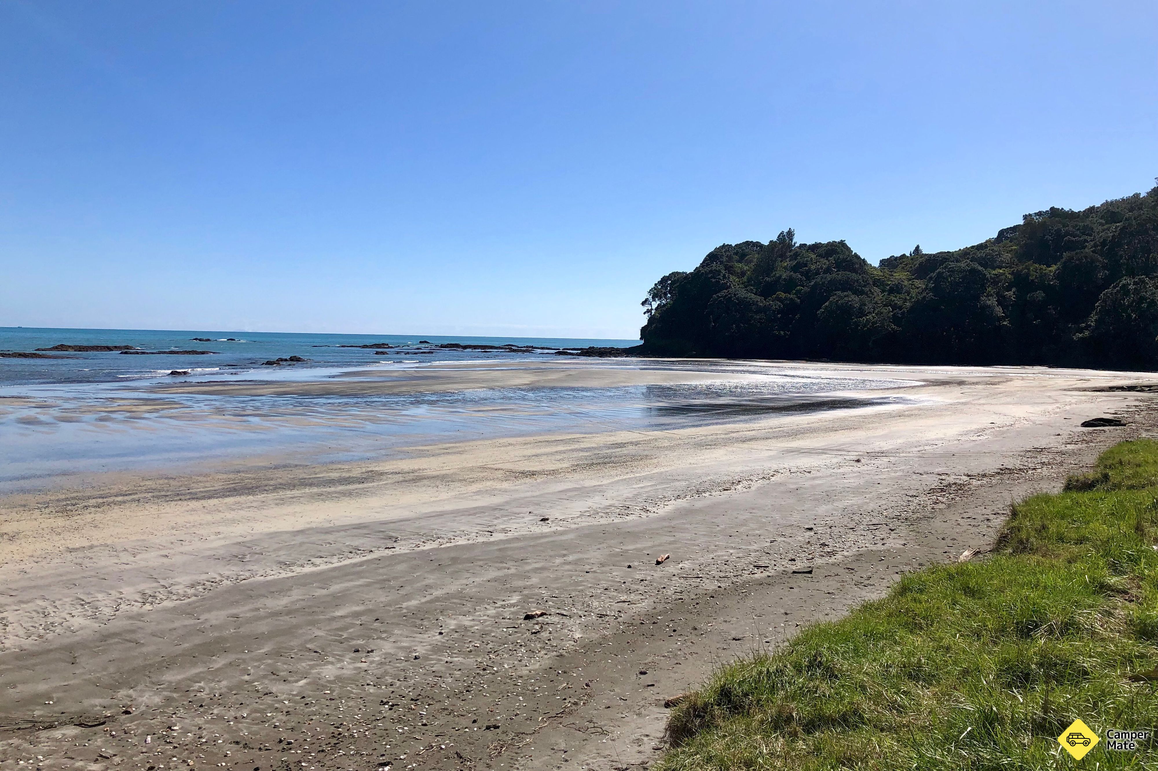 Tauturangi Walkway - Image 3