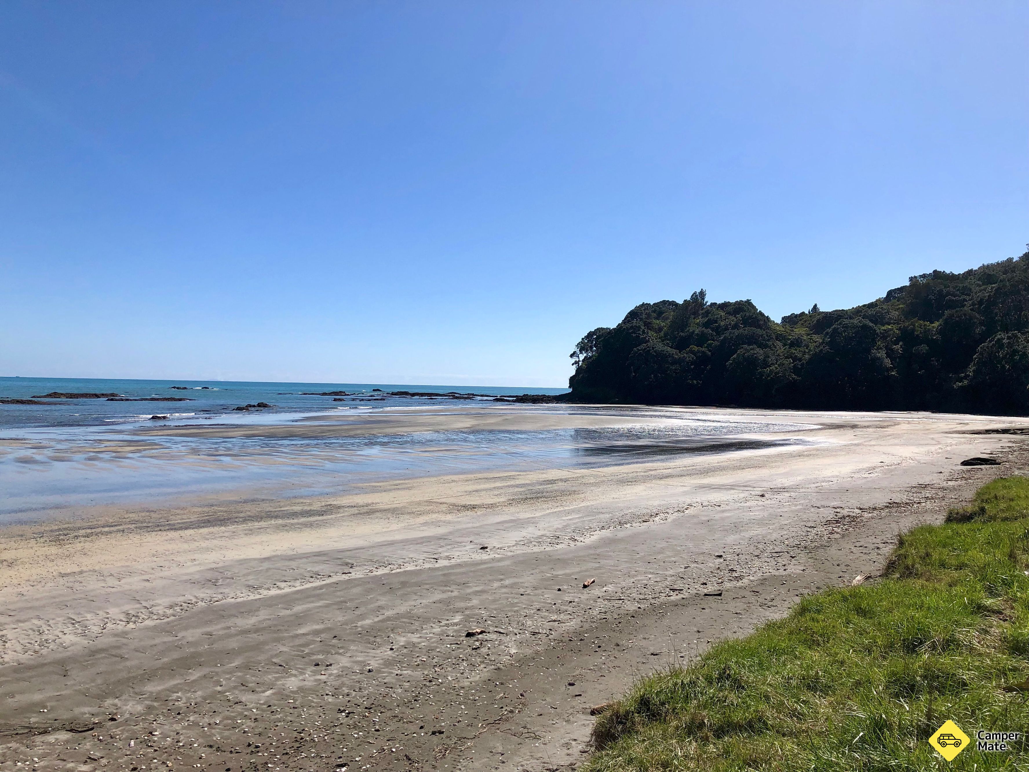 Tauturangi Walkway - Image 3
