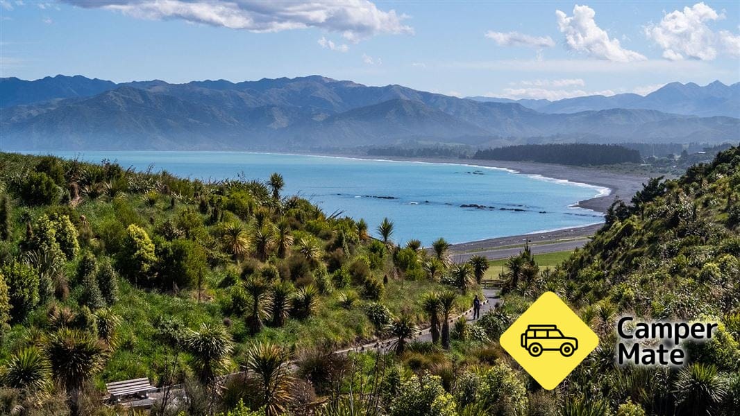 Kaikoura Peninsula Walkway - Image 2