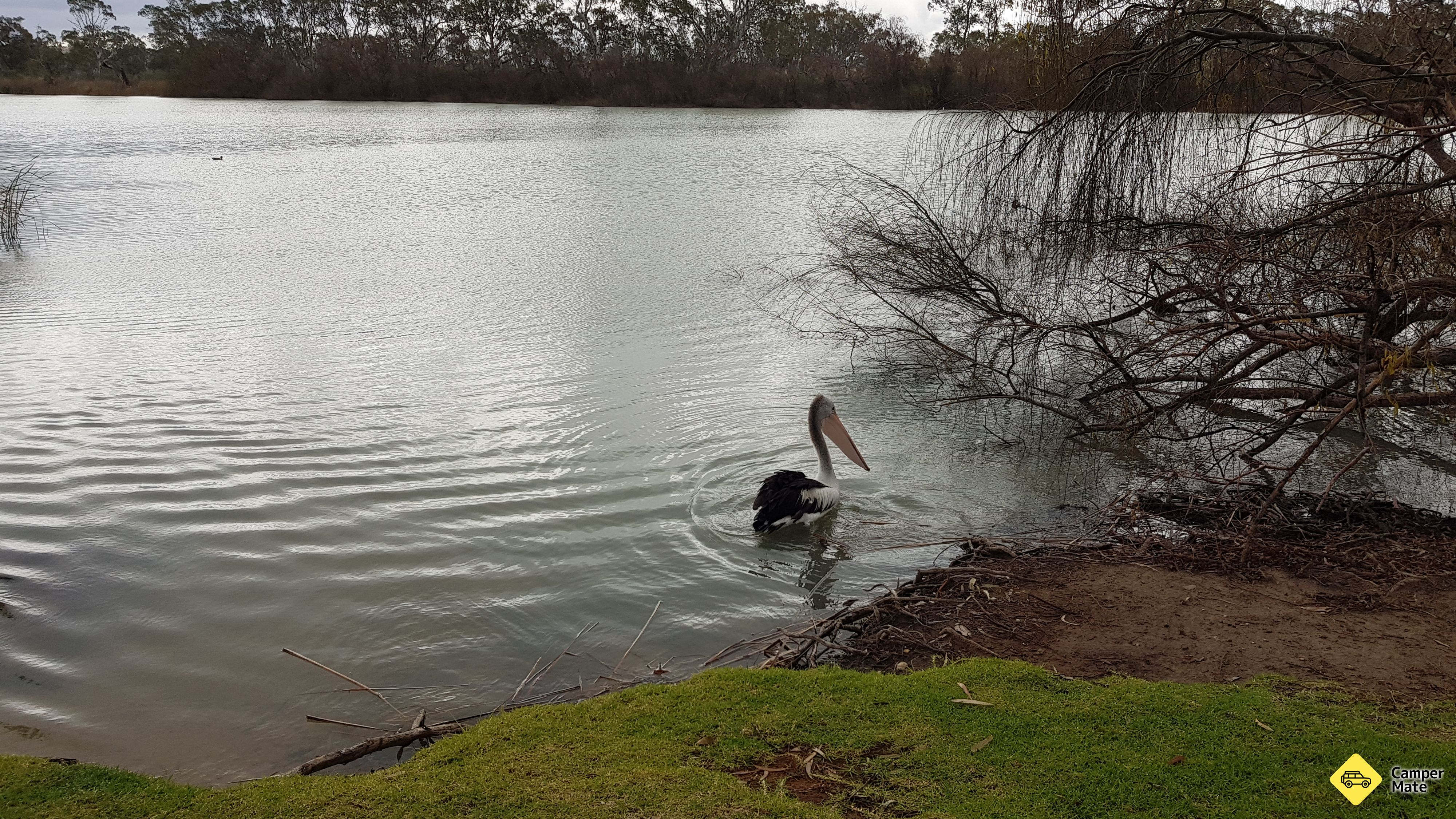 Hatton Uçuşu
