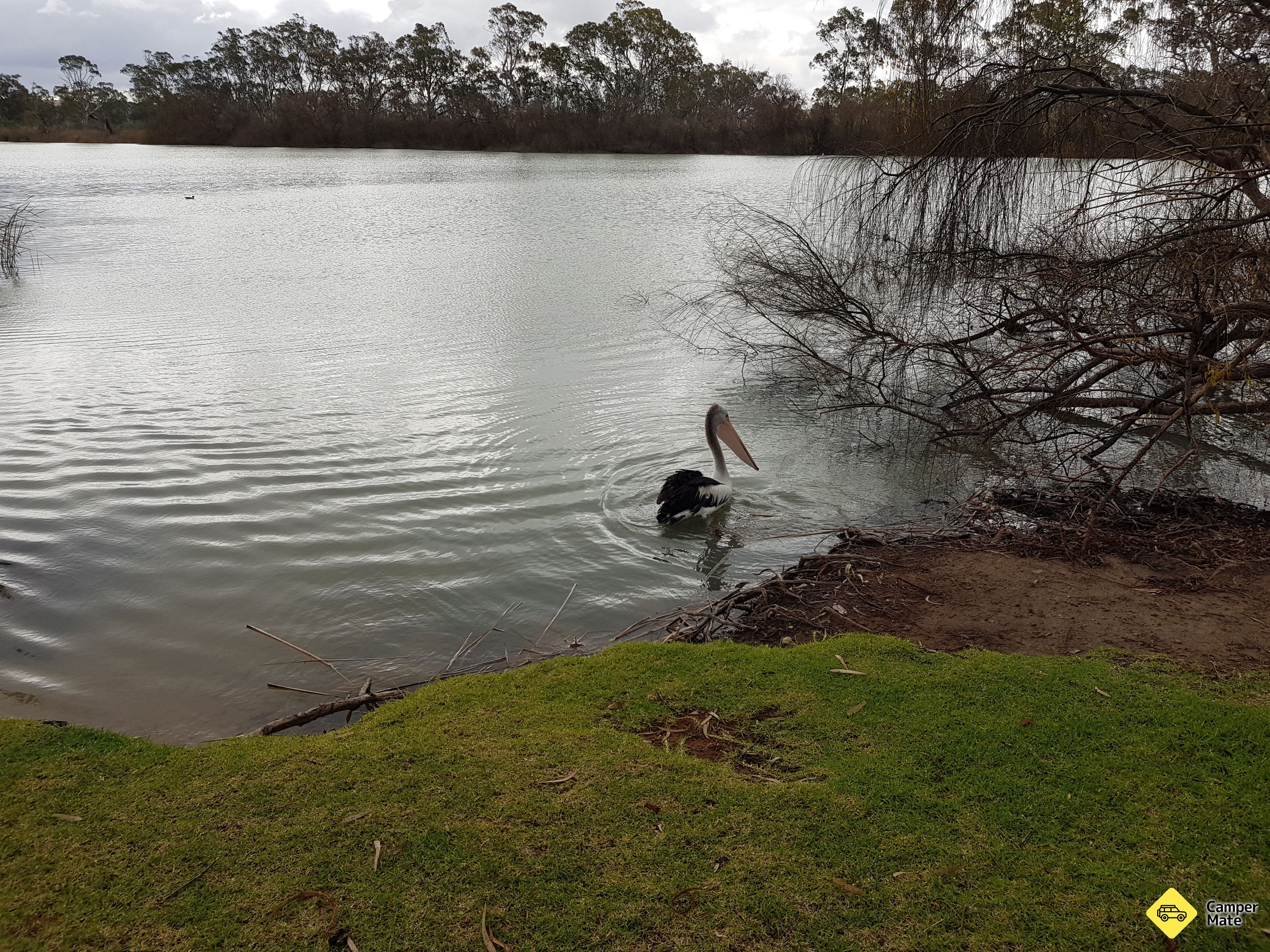 Hettner Landing