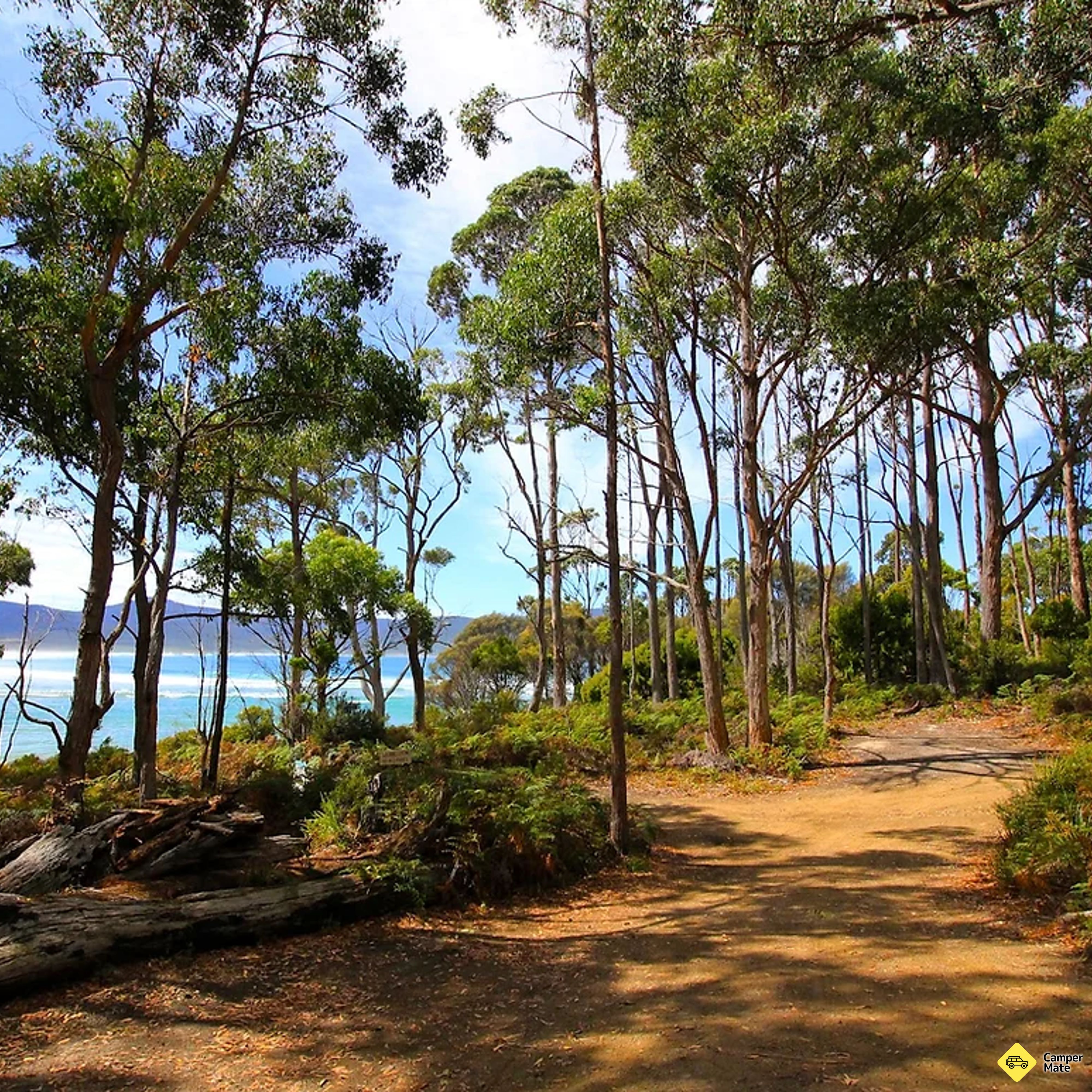 Camping en la isla de Bruny - Image 2