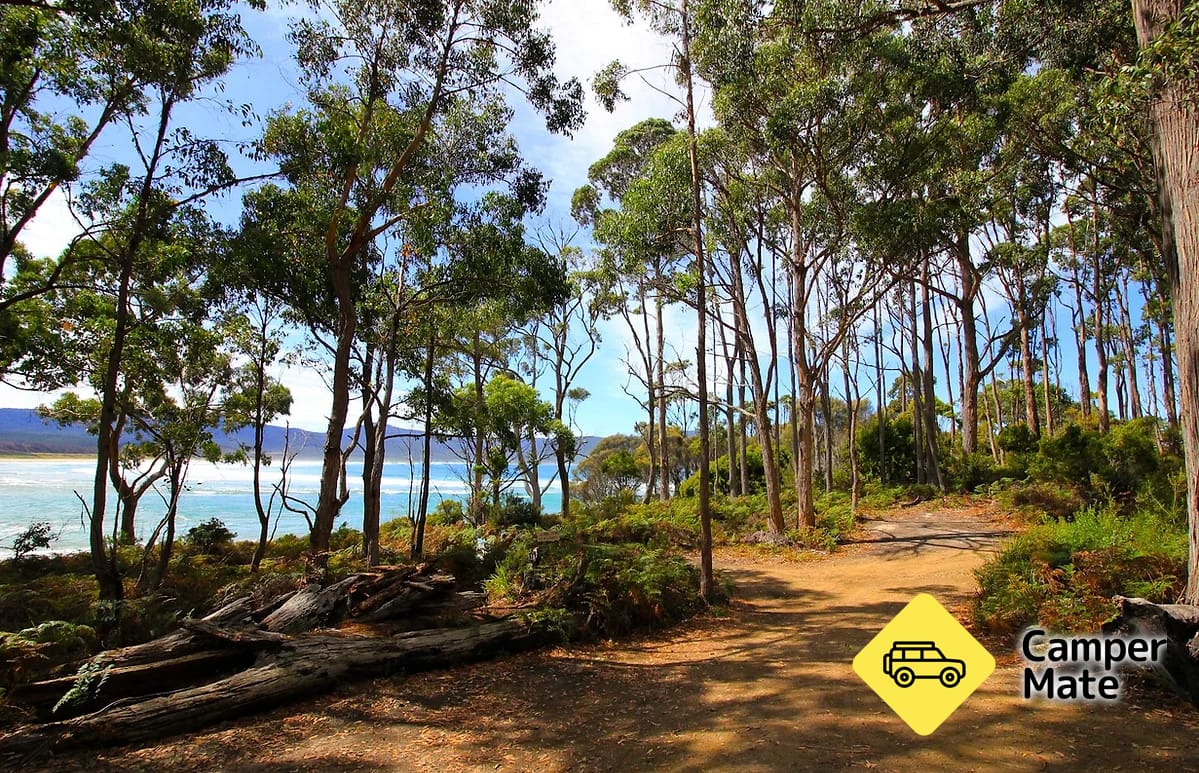 Camping at Bruny Island - Image 2