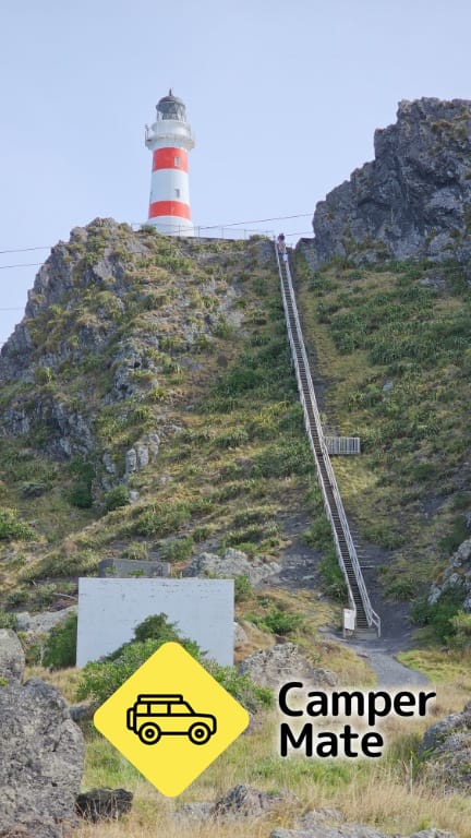 Cape Palliser Lighthouse - Image 3