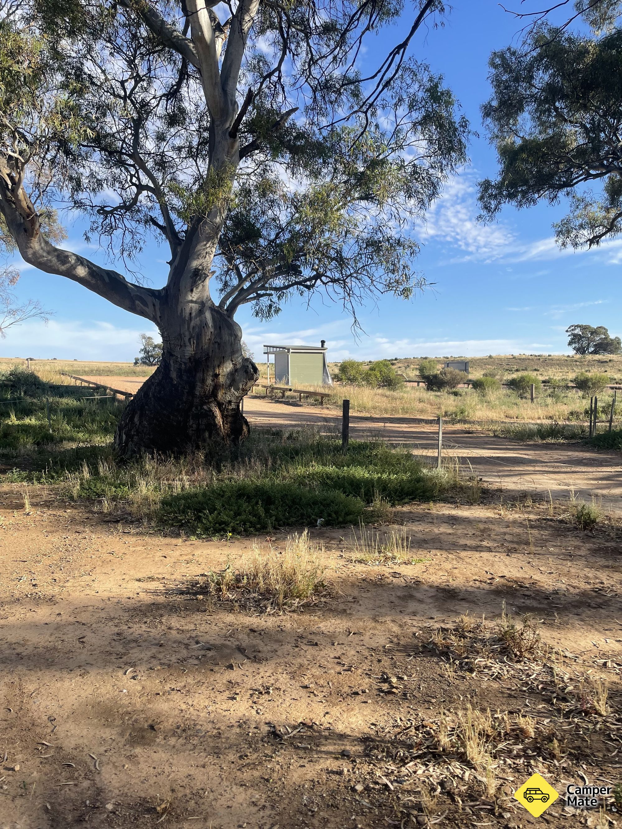 Worlds End Campground, Burra Creek Gorge Reserve - Image 2