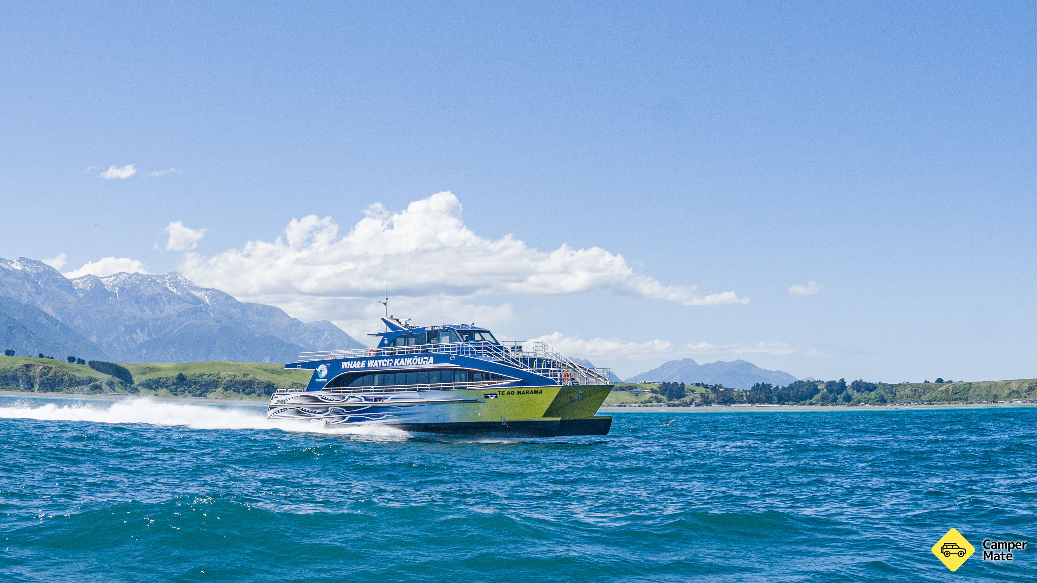 Whale Watch Kaikoura - Image 2