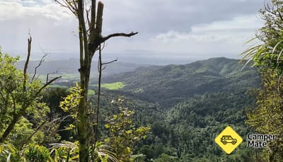 Mount Tamahunga Walkway