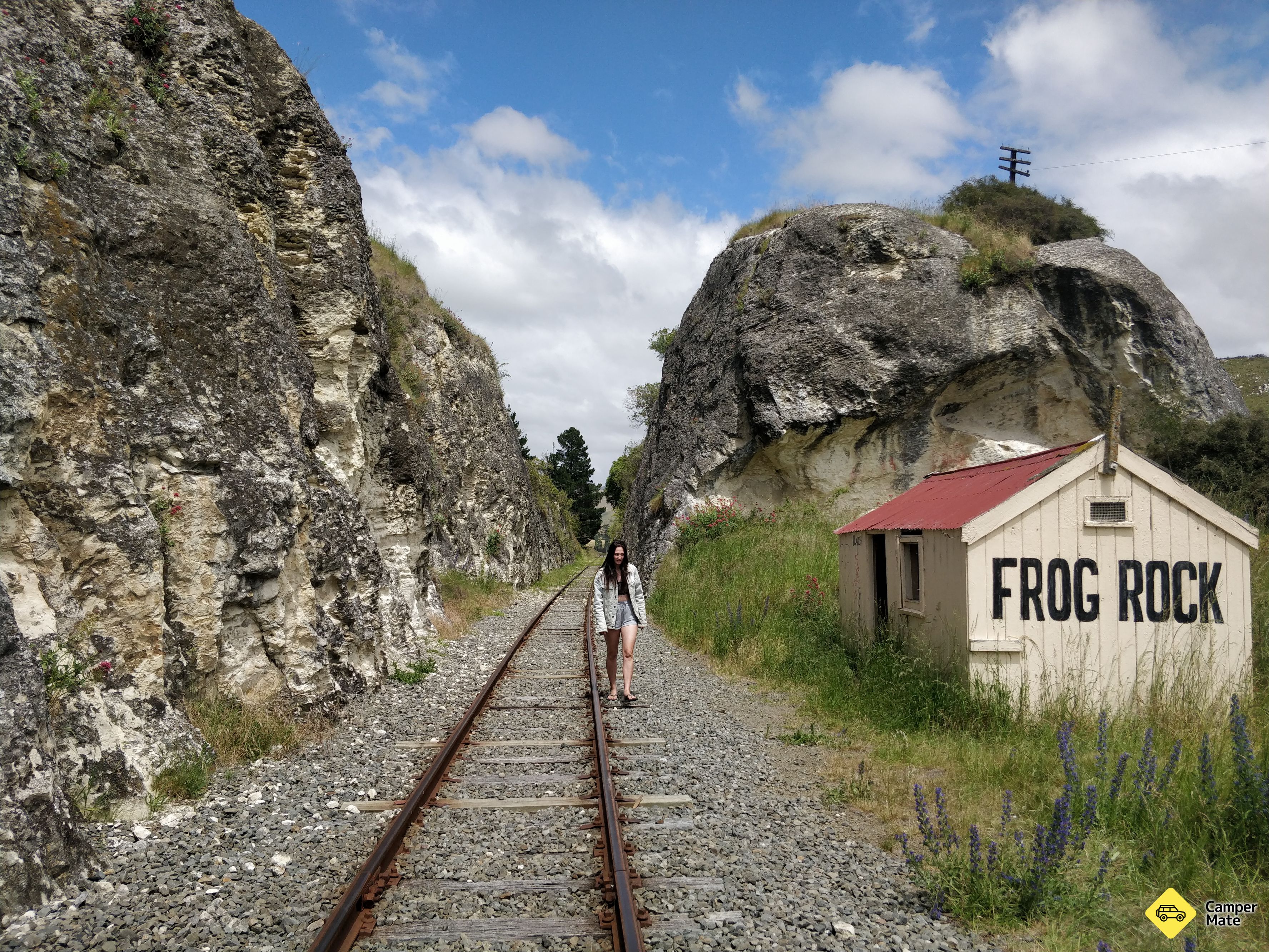 Szőlő Rock - Image 2