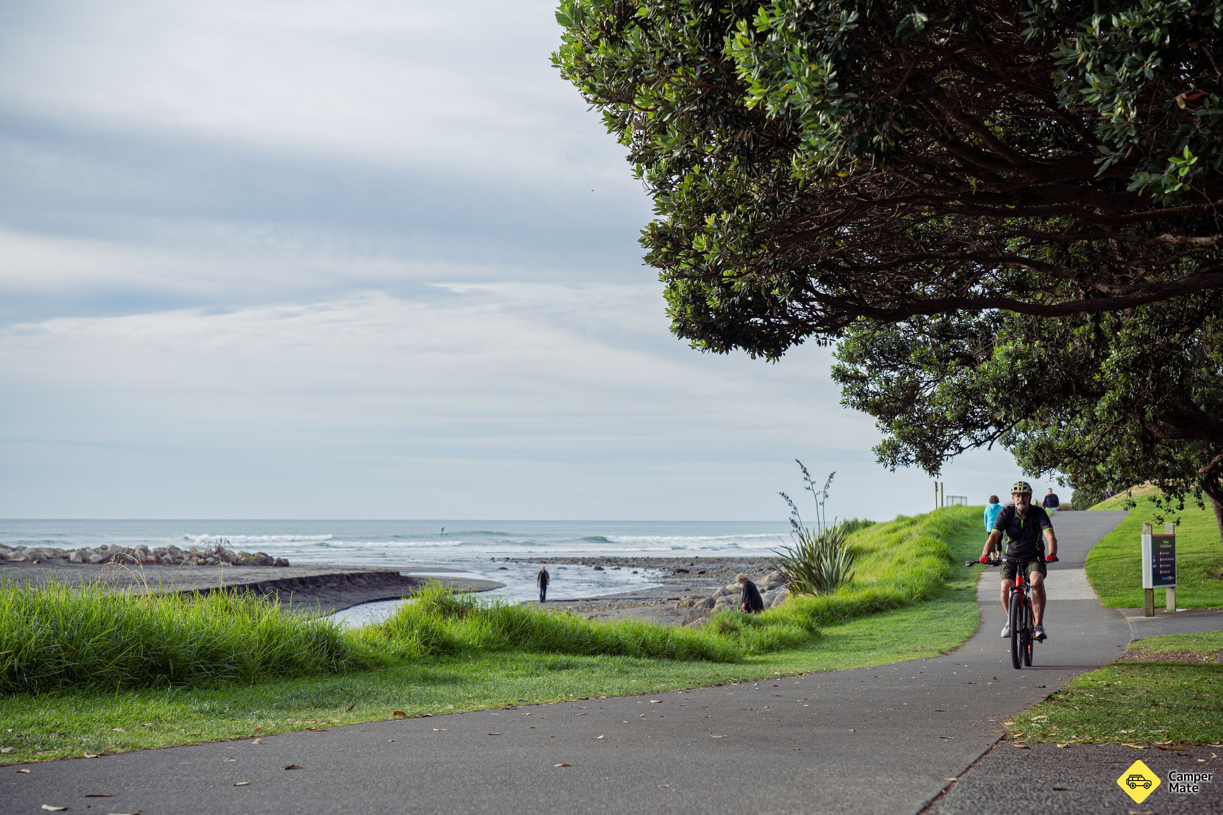 New Plymouth Coastal Walkway - Image 3
