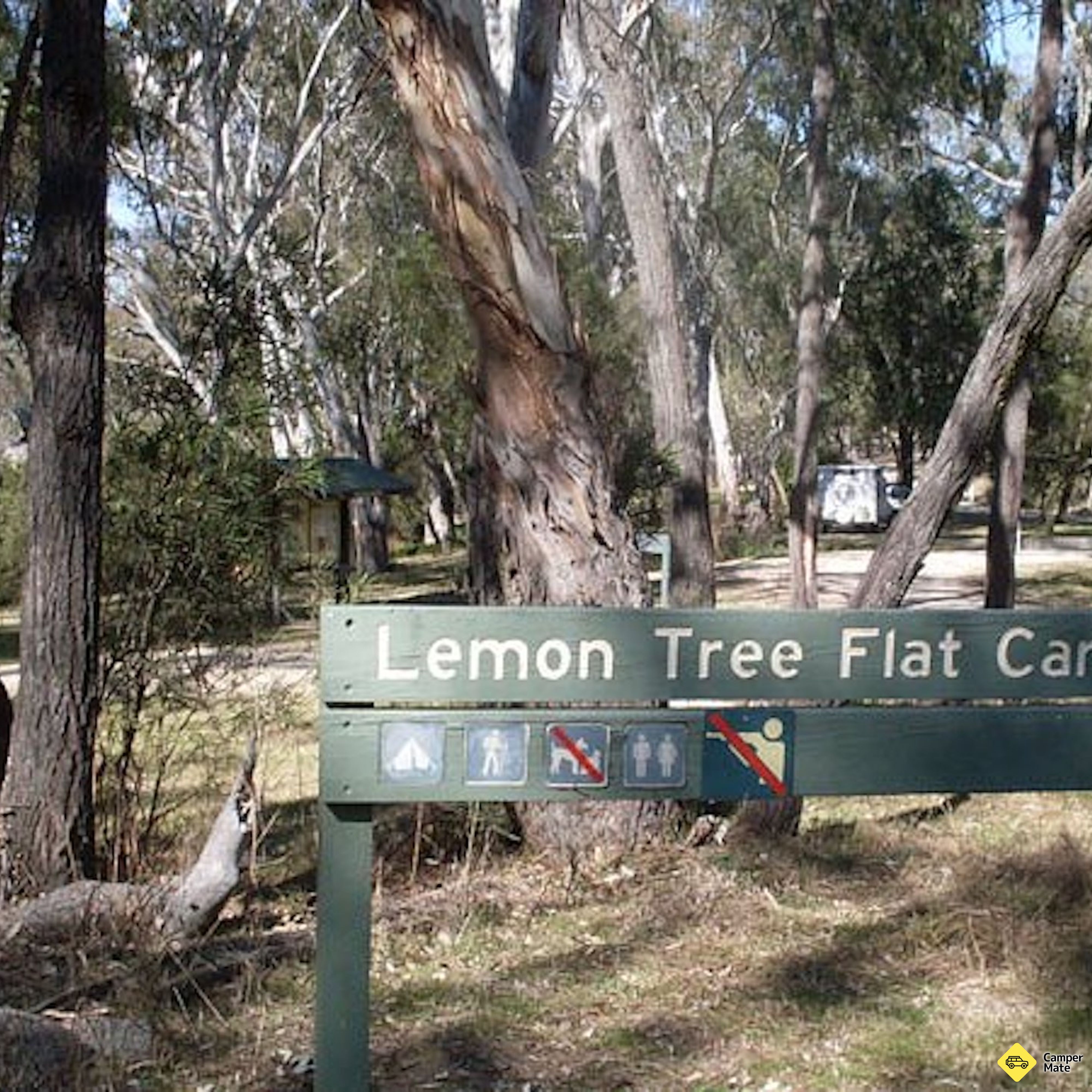 Lemon Tree Flat Campground - Image 2