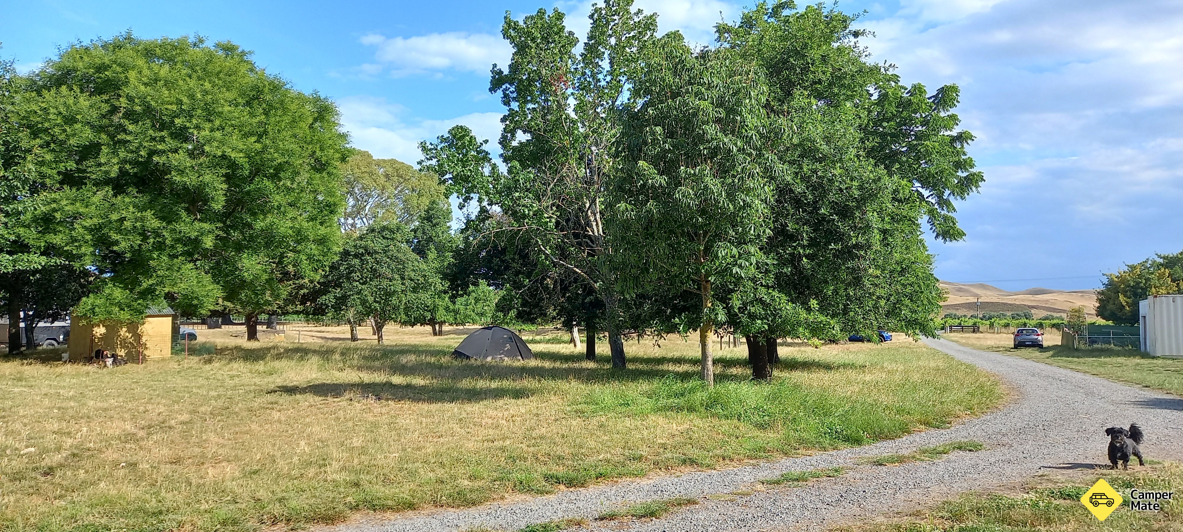 The Woolshed Driveway - Image 2