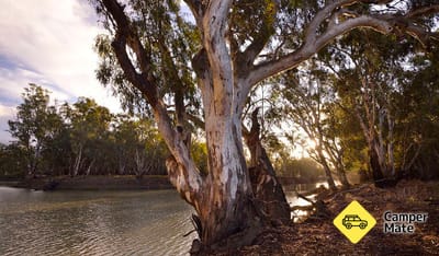 Bunyip Hole Reserve Camp Area