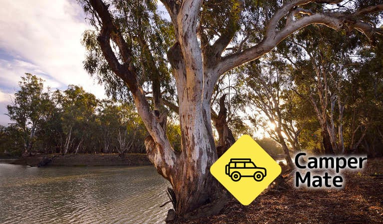 Bunyip Hole Reserve Camp क्षेत्र के बारे में राय