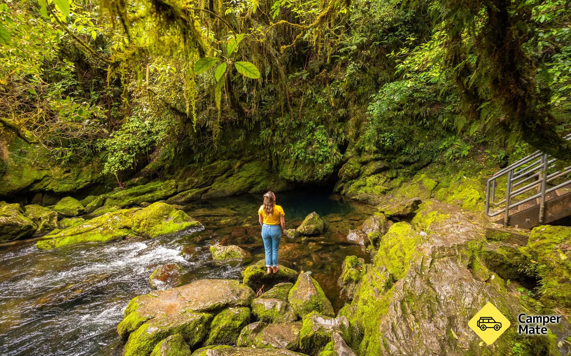 Riuwaka Resurgence Walk and Swimming Hole - Image 2