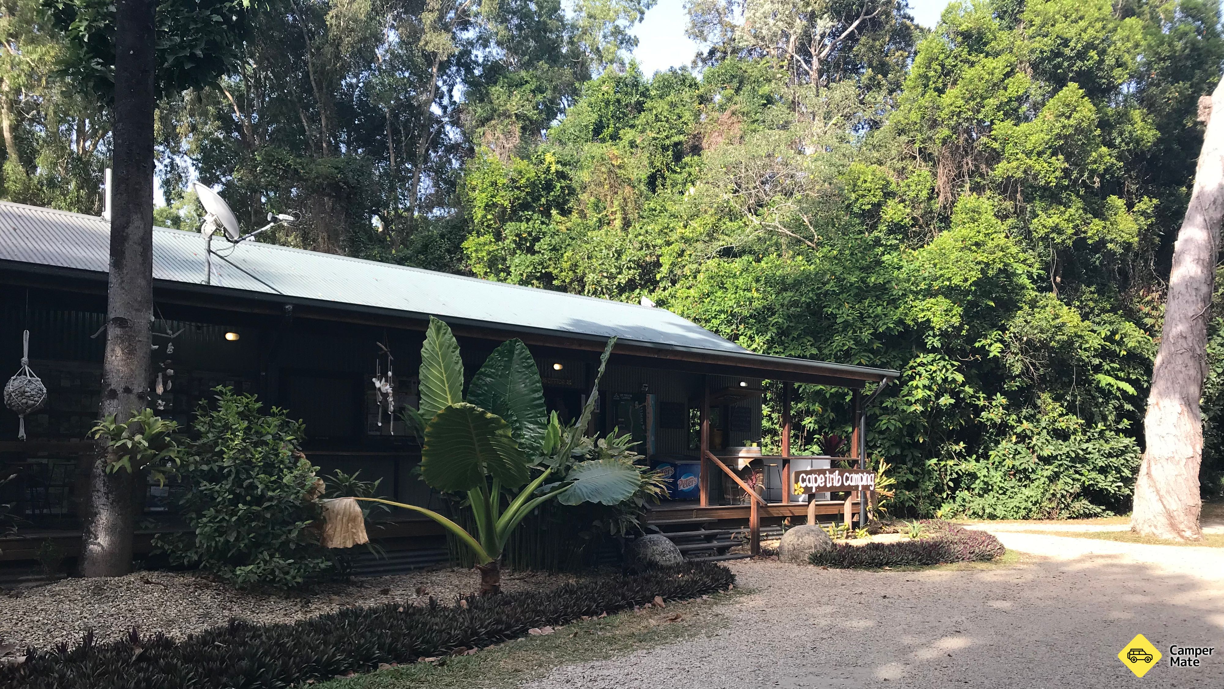 Cape Tribulation कैम्पिंग