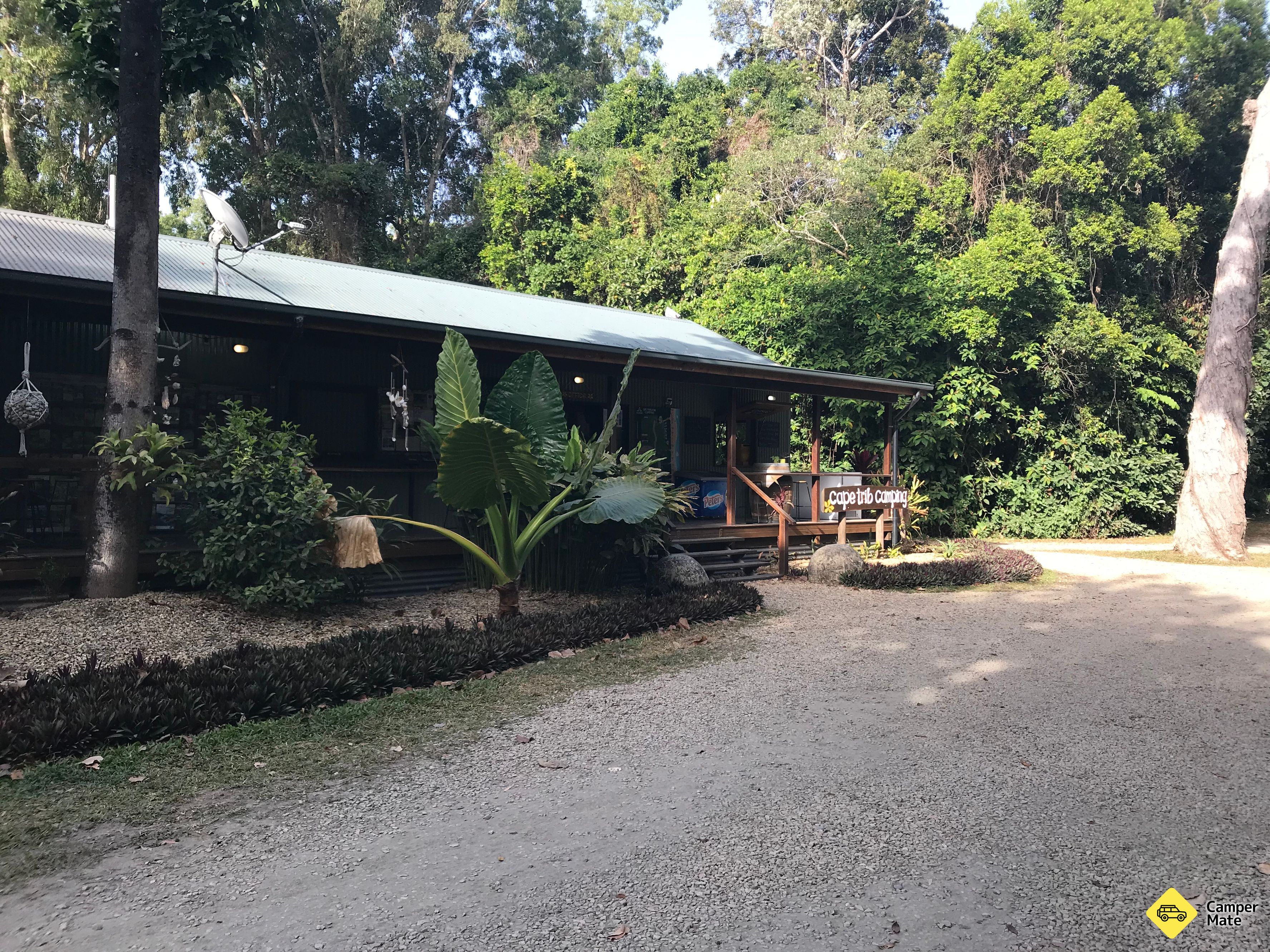 Cape Tribulation कैम्पिंग