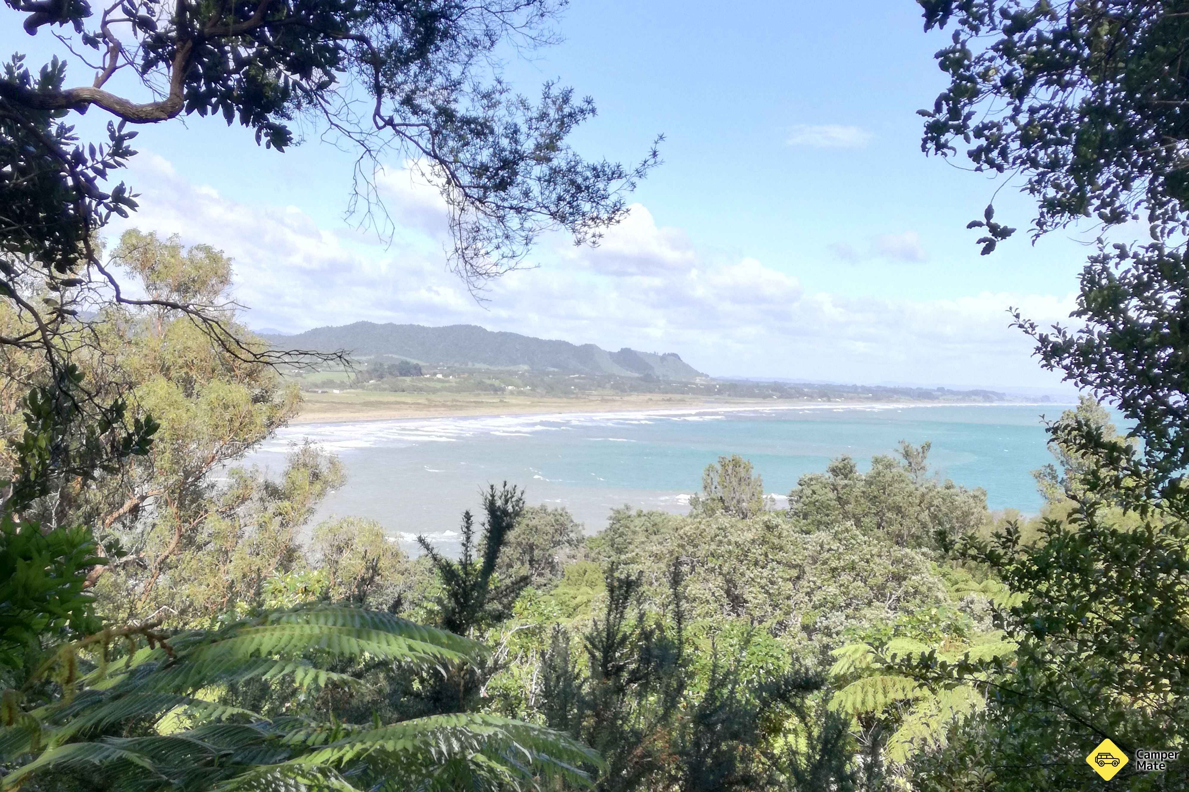 Tauturangi Walkway - Image 2