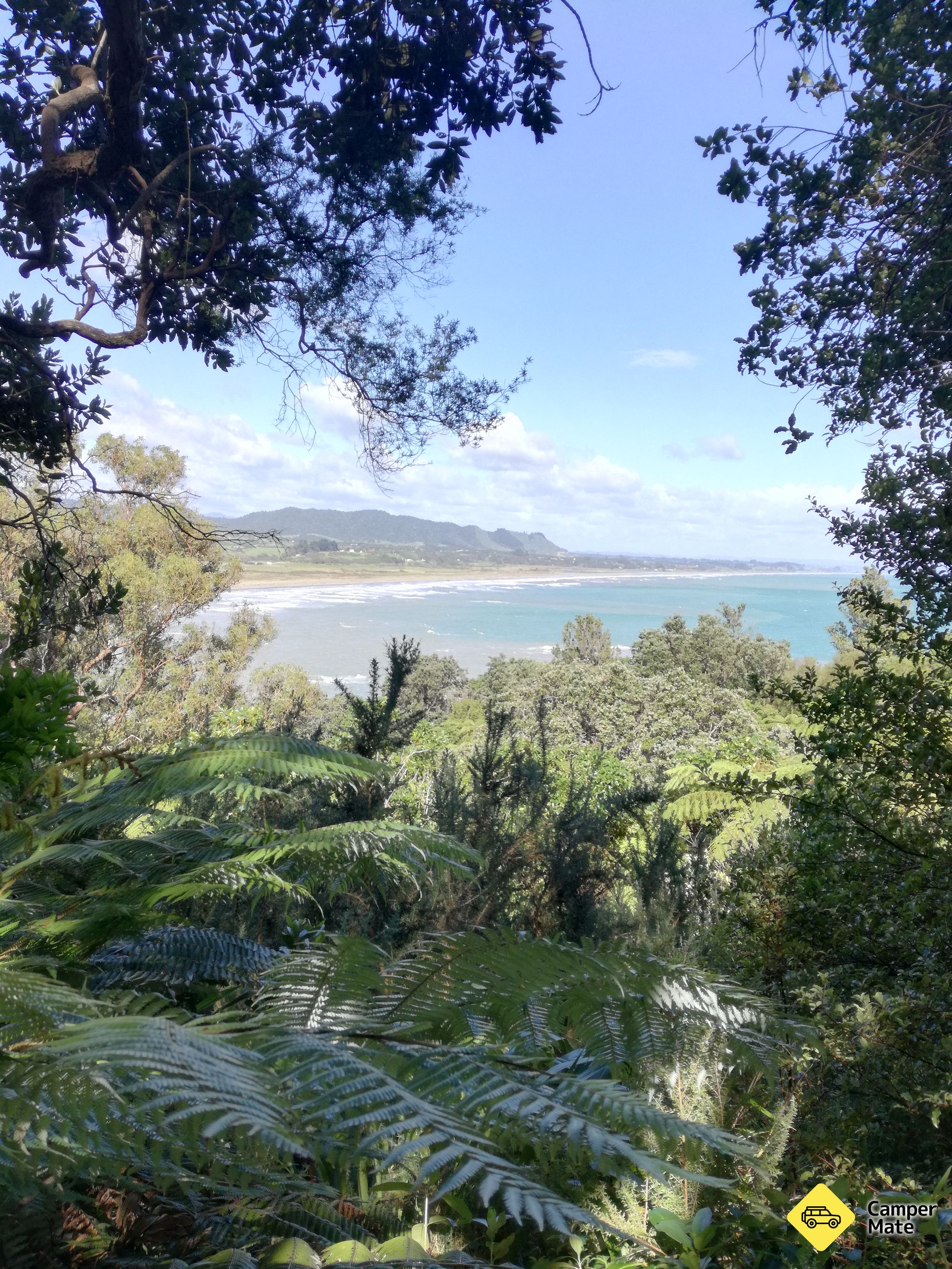 Tauturangi Walkway - Image 2