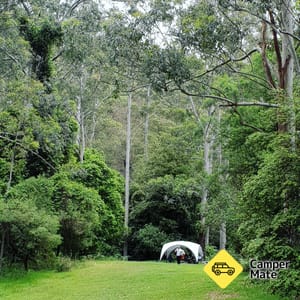 oleh Wheeney Creek