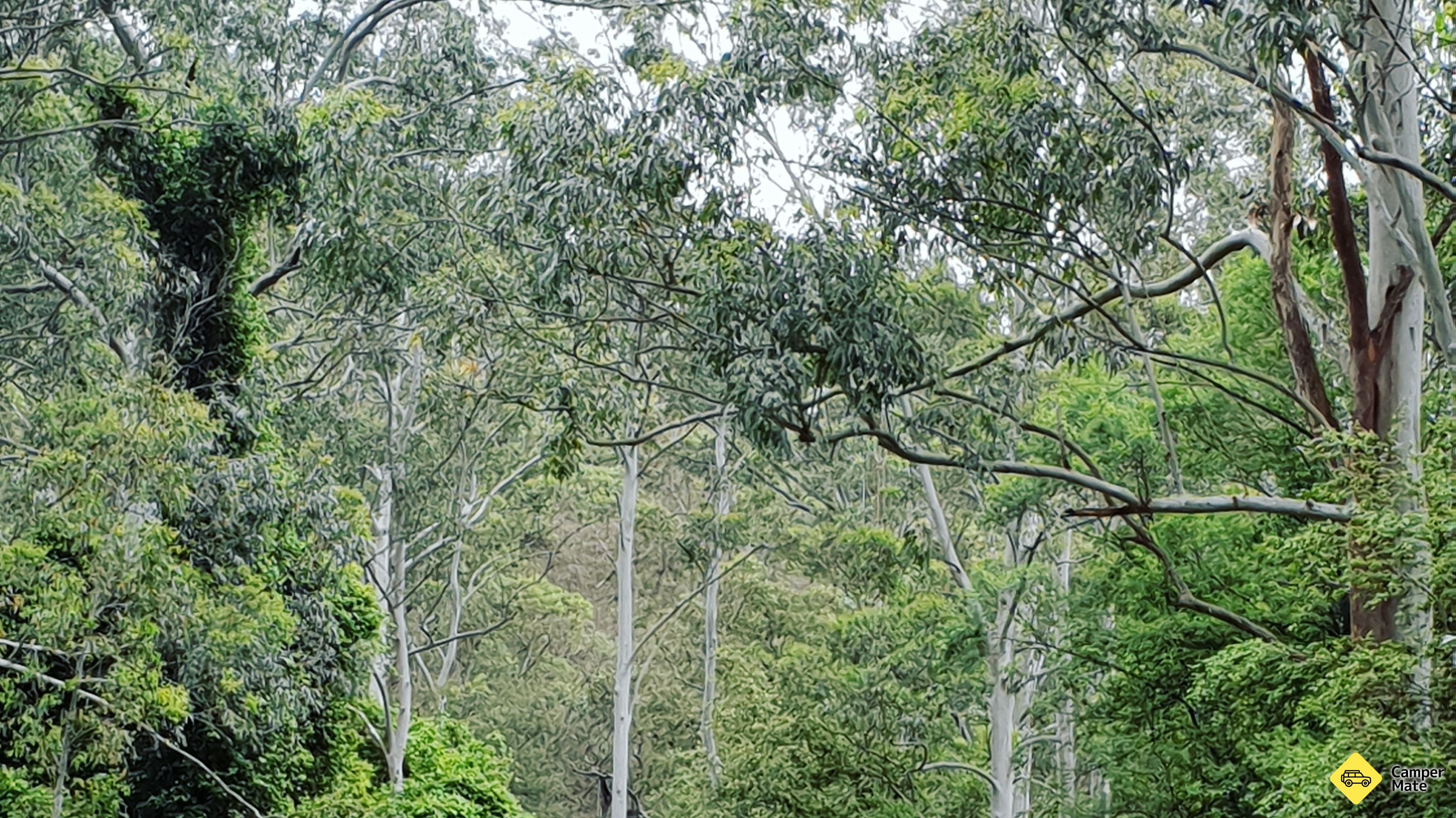 von Wheeney Creek