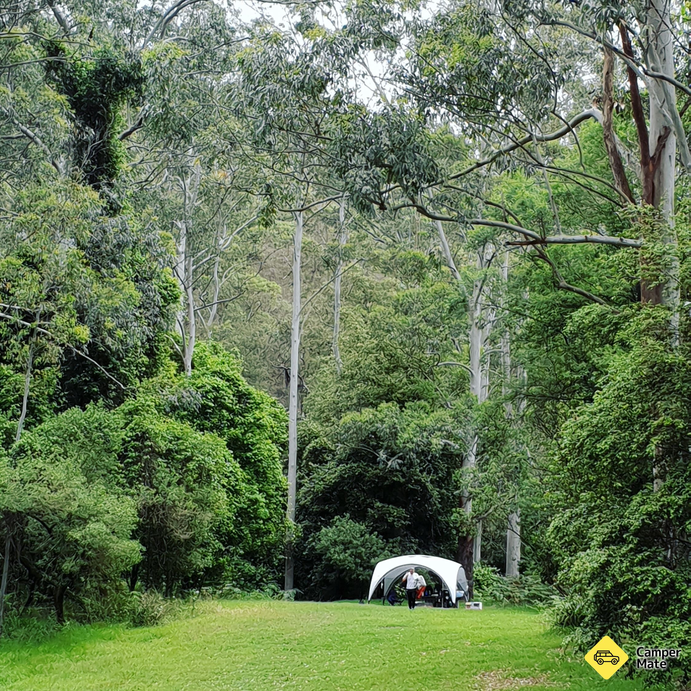 Wheeney creek