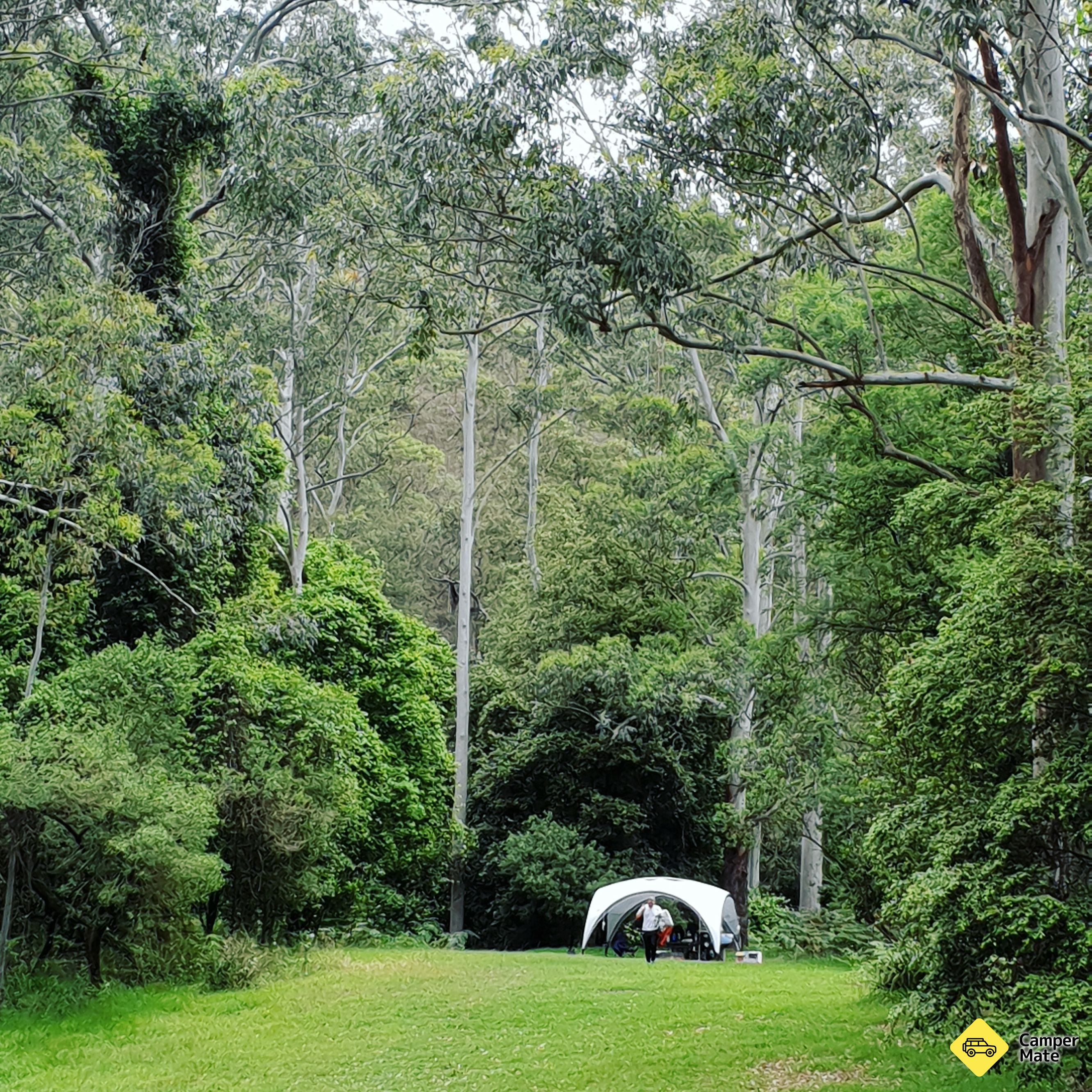 oleh Wheeney Creek