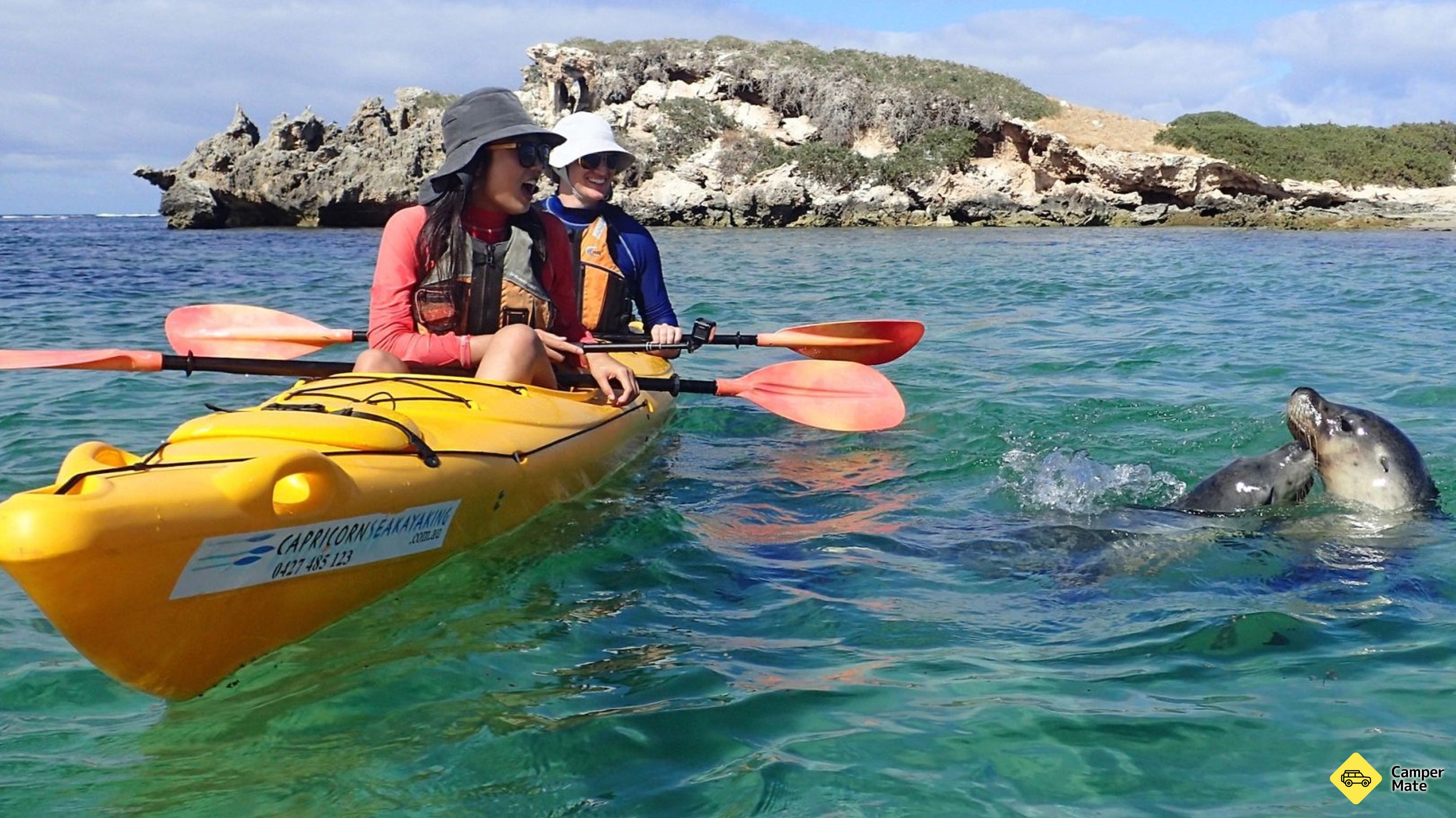 Pinguine e Isole del Sigillo Kayak Tour
