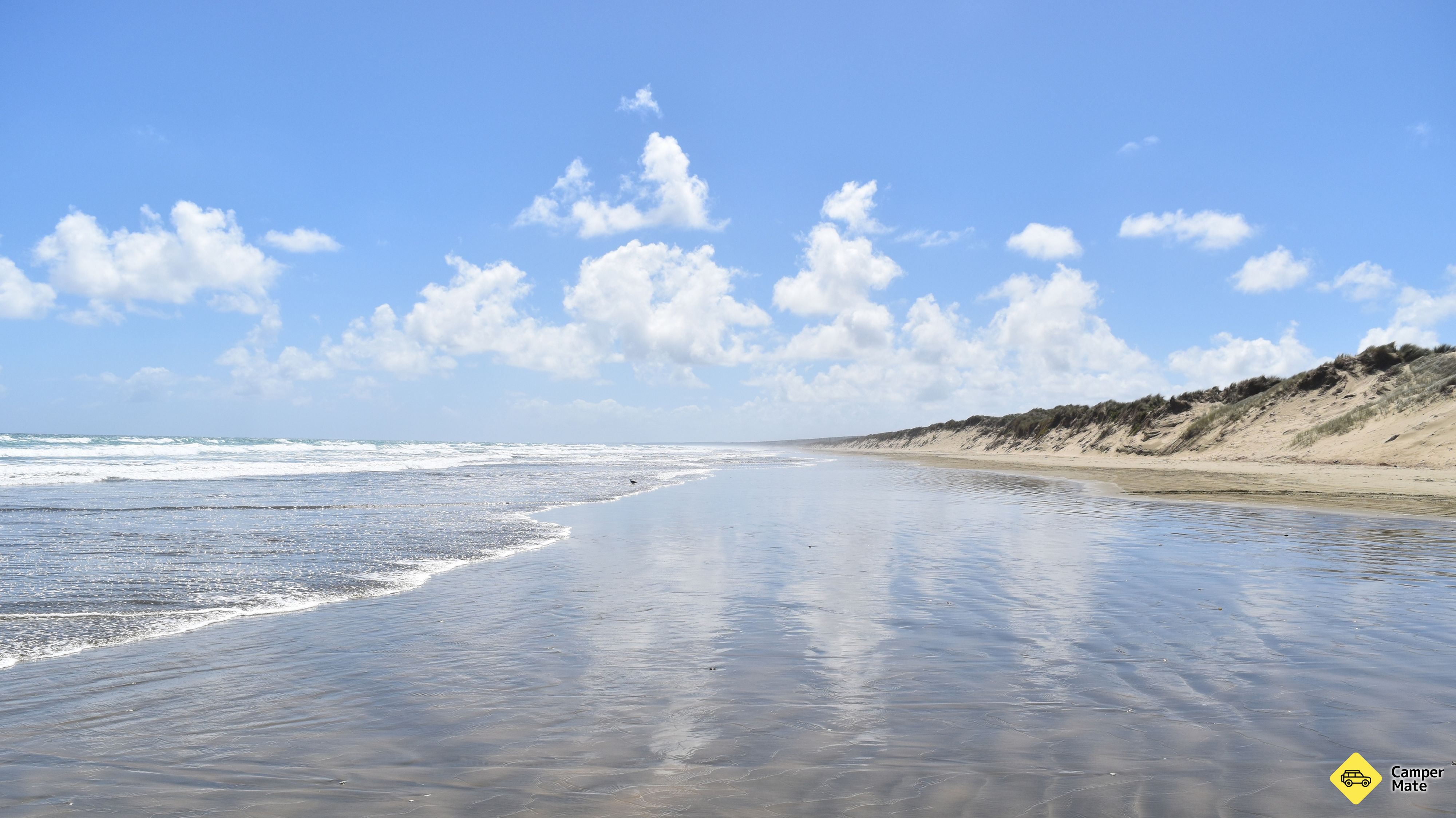 Ninety Mile Beach 근처 오락거리