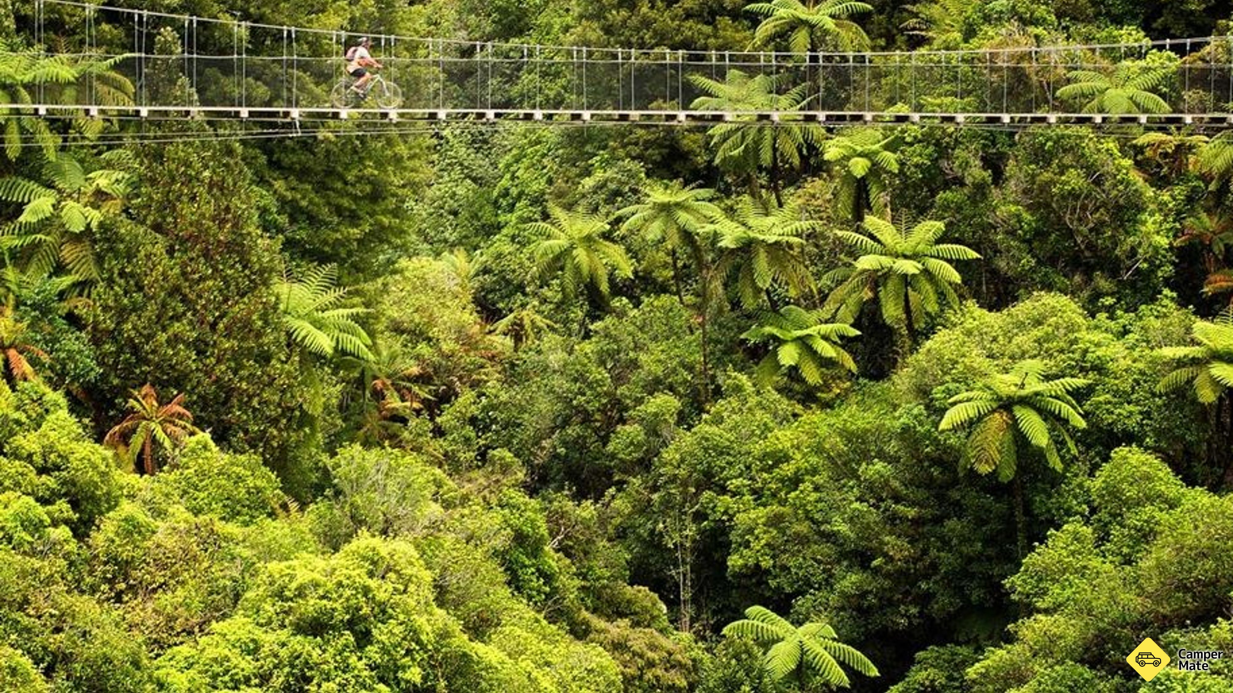 Læs mere om The Timber Trail & Totara Walk
