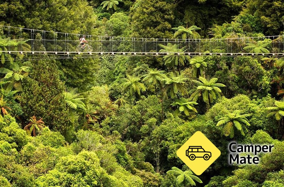 The Timber Trail และ Totara Walk