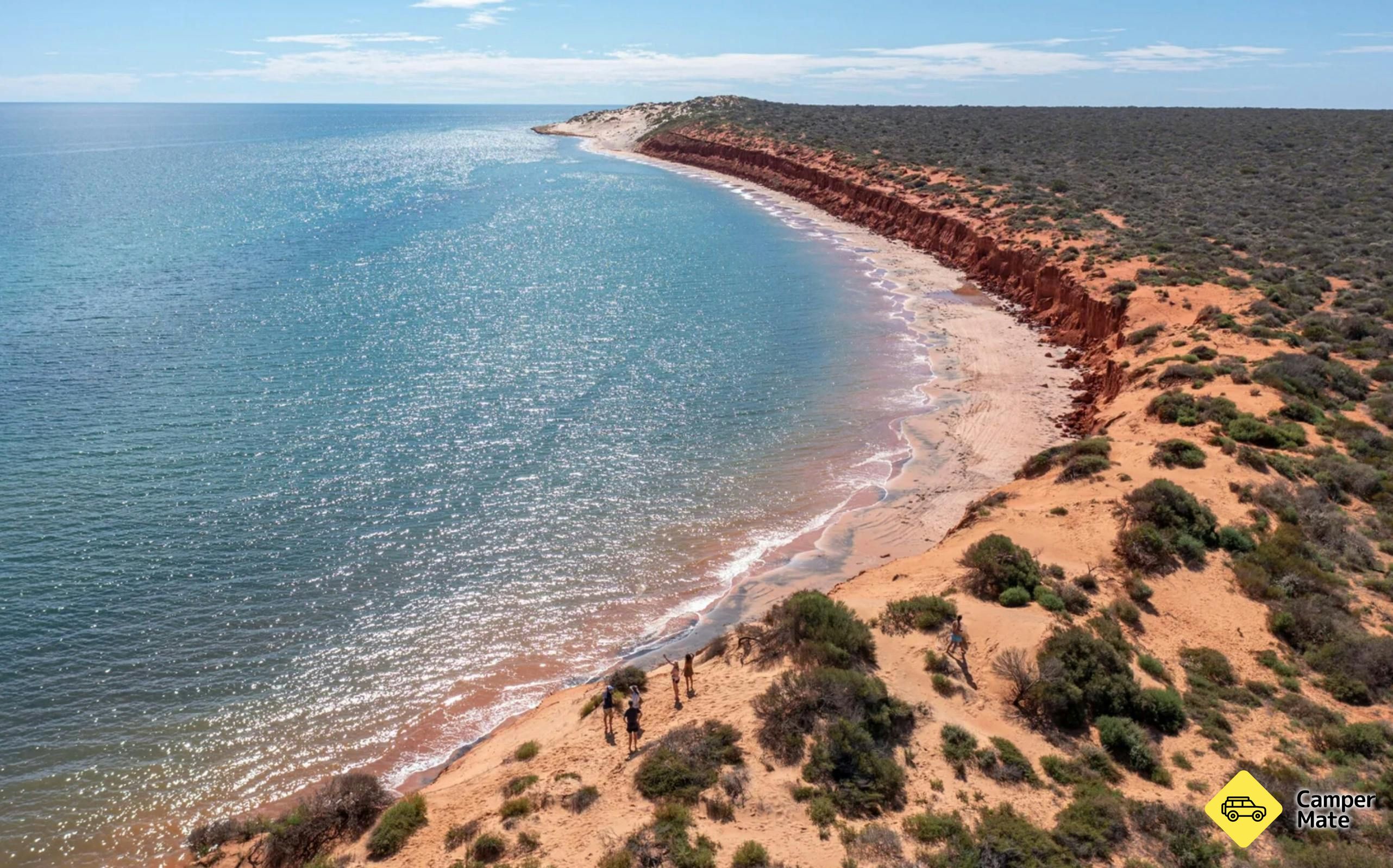Shark Bay Eco Tours - Image 2