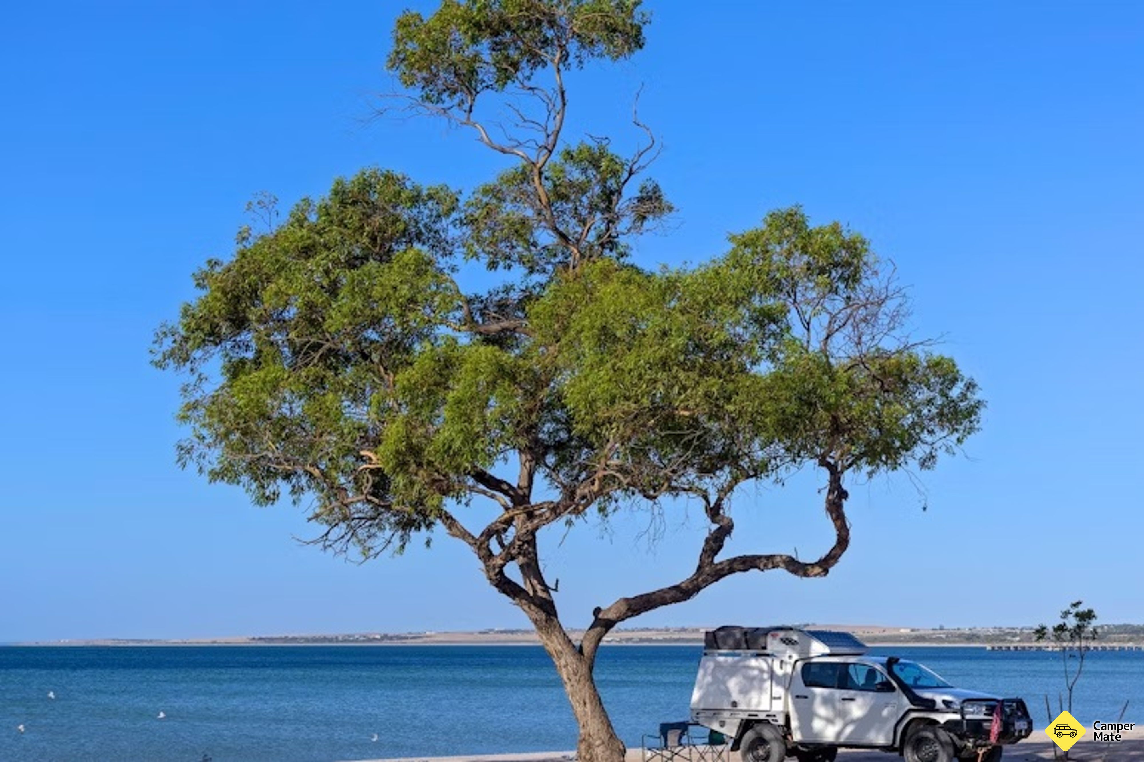 Restauracje w pobliżu lokalizacji: Streaky Bay Foreshore - Image 3