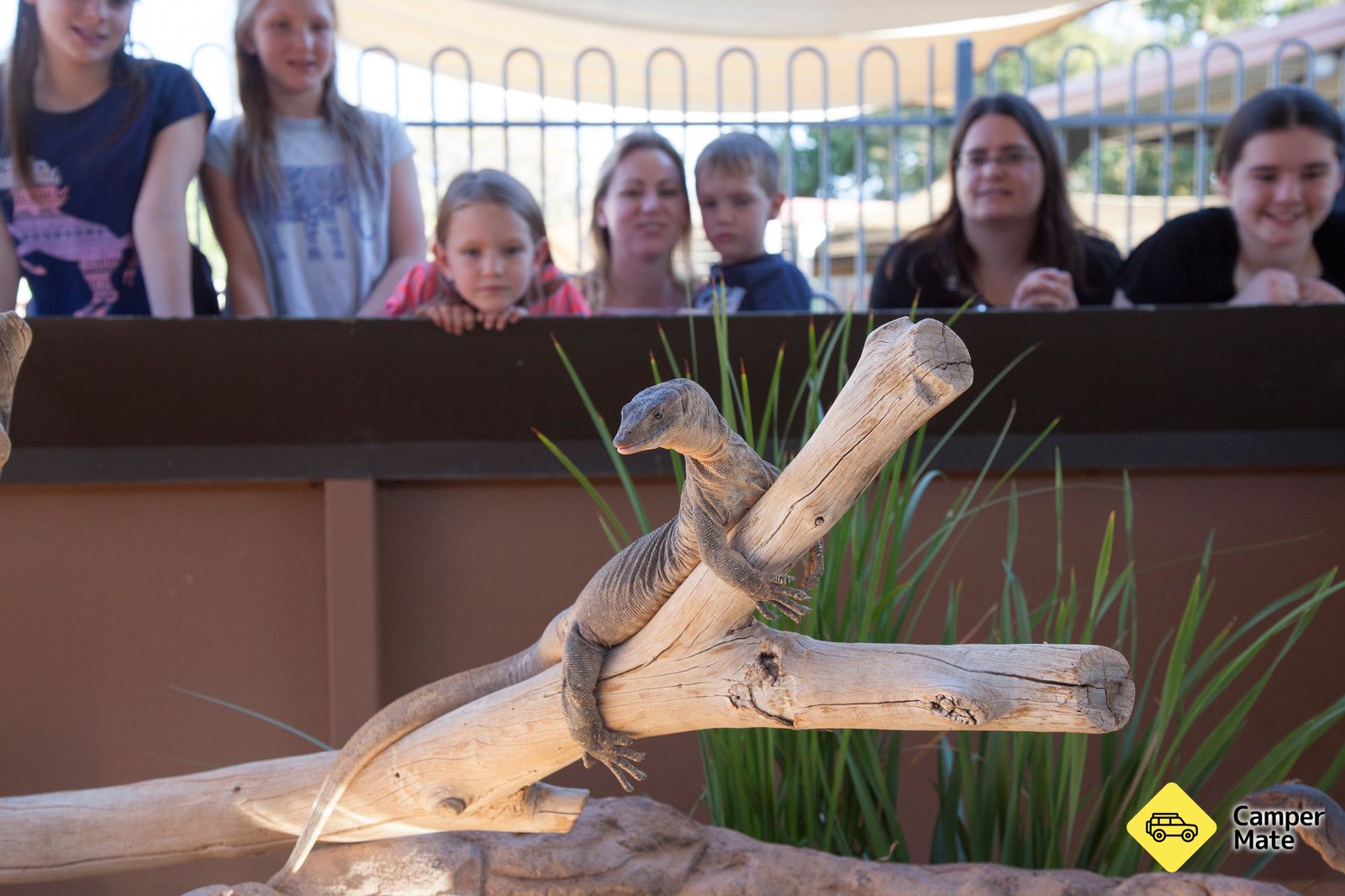 Alice Springs Reptile Centre