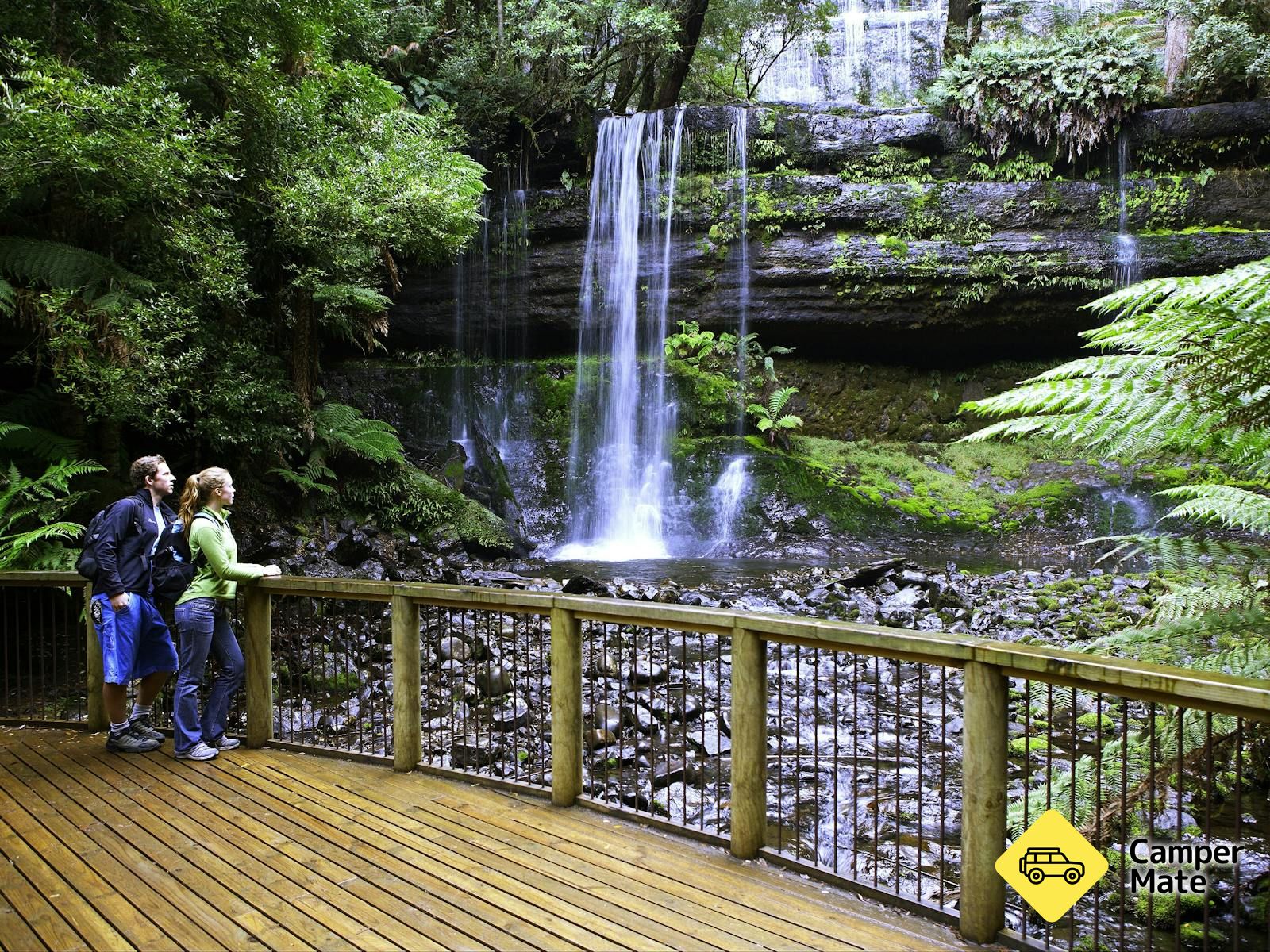 פארק הלאומי Mt Field Waterfall Loop Walk