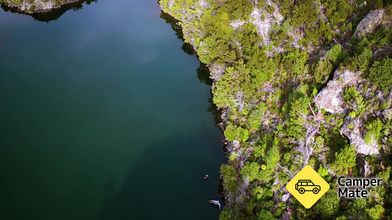 Stevensons Island Cruise & Nature Walk - Image 2