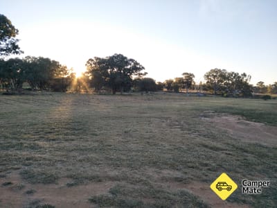 Yeoval Showground