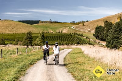 Waipara Valley Vineyard Trail