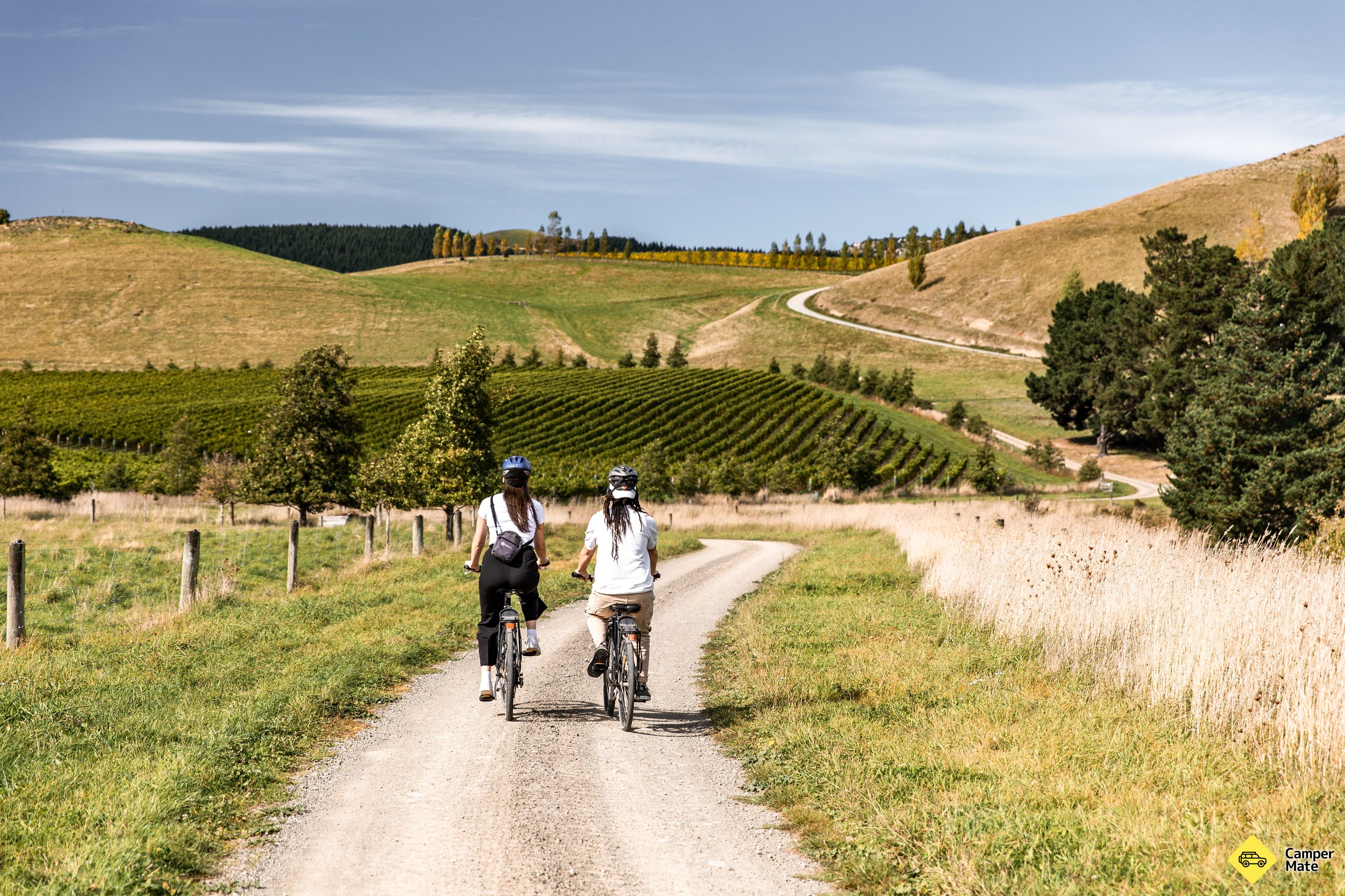 Waipara Valley Vineyard Trail