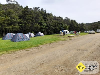 Waipu Caves Farm Park