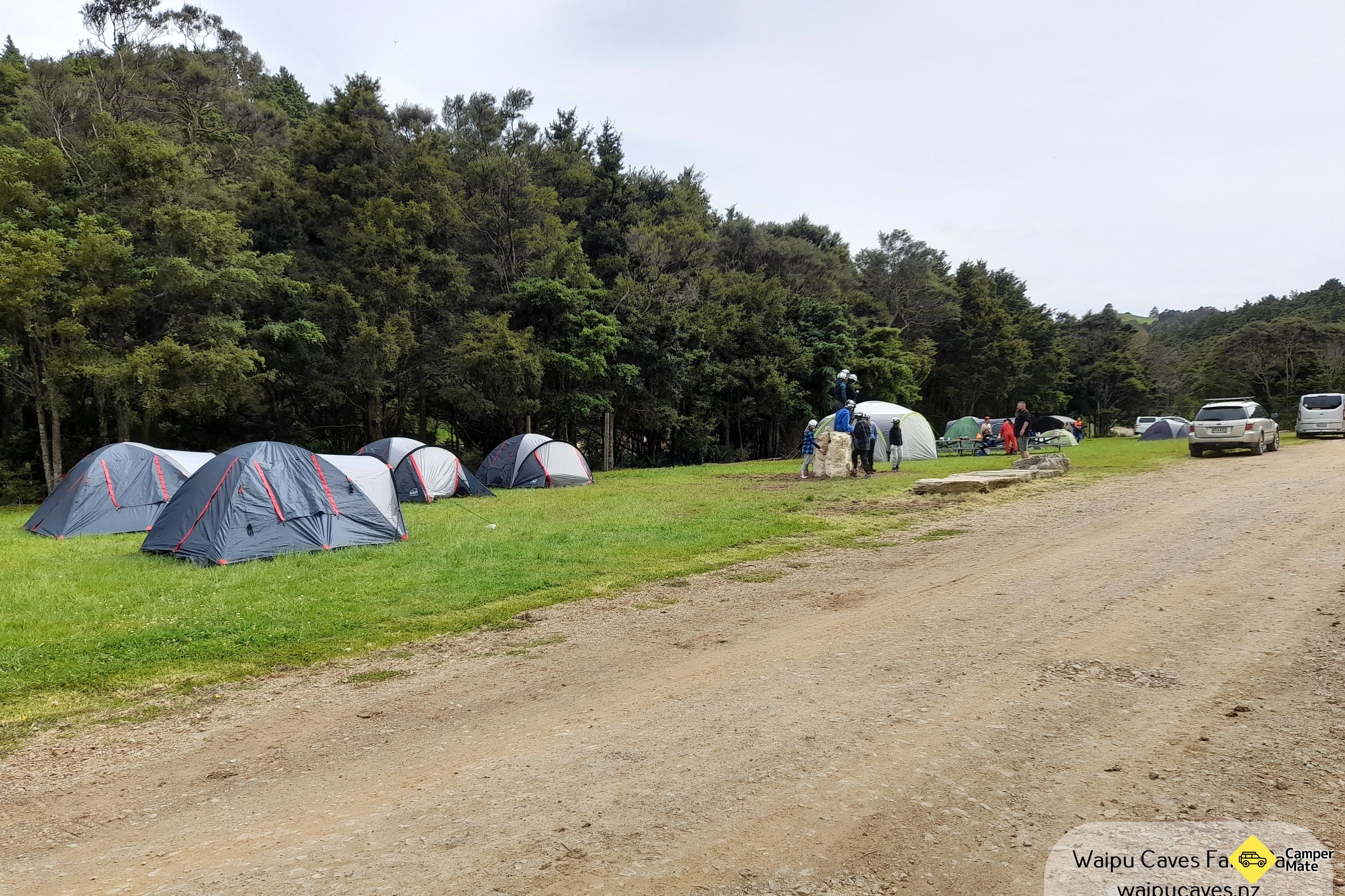 Waipu Caves Farm Park