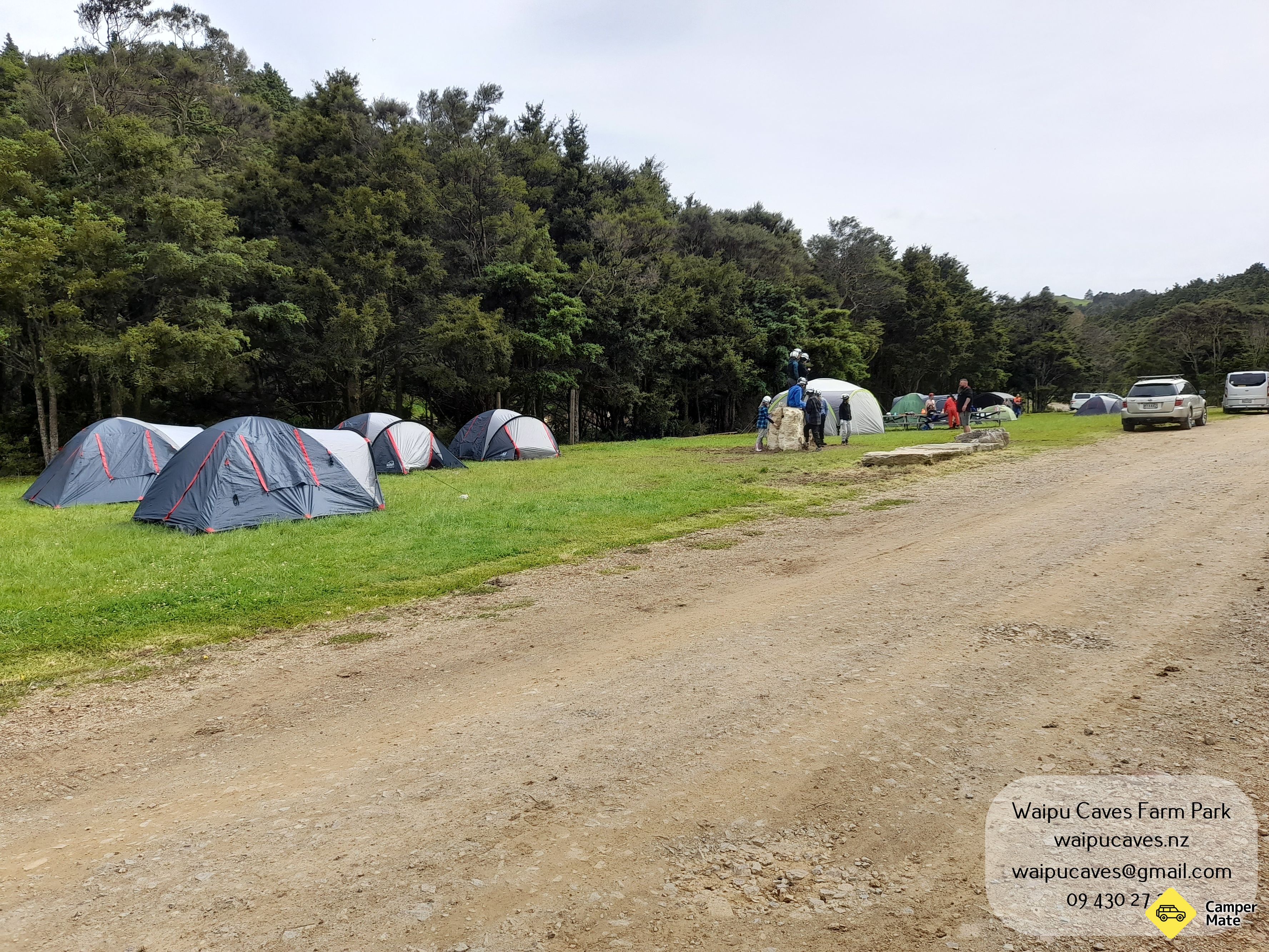 Waipu Caves Farm Park