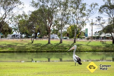 BIG4 Berri Riverside Holiday Park